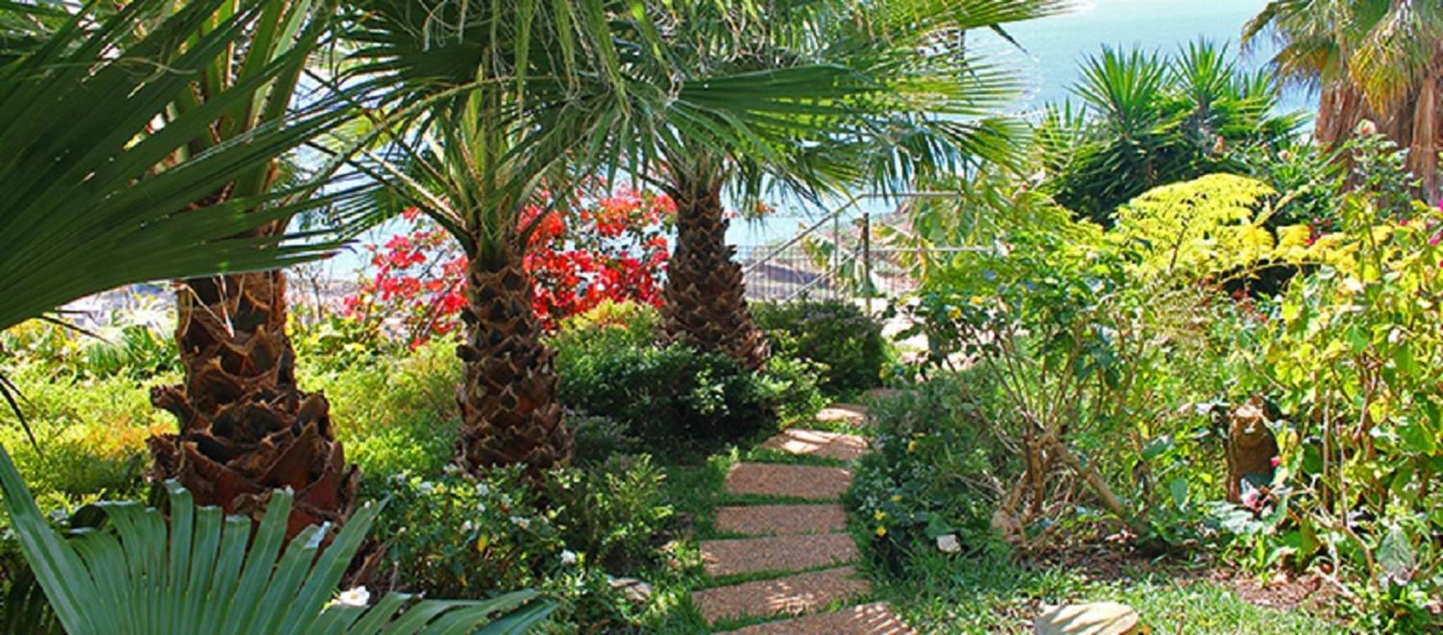 Casa do Papagaio Verde