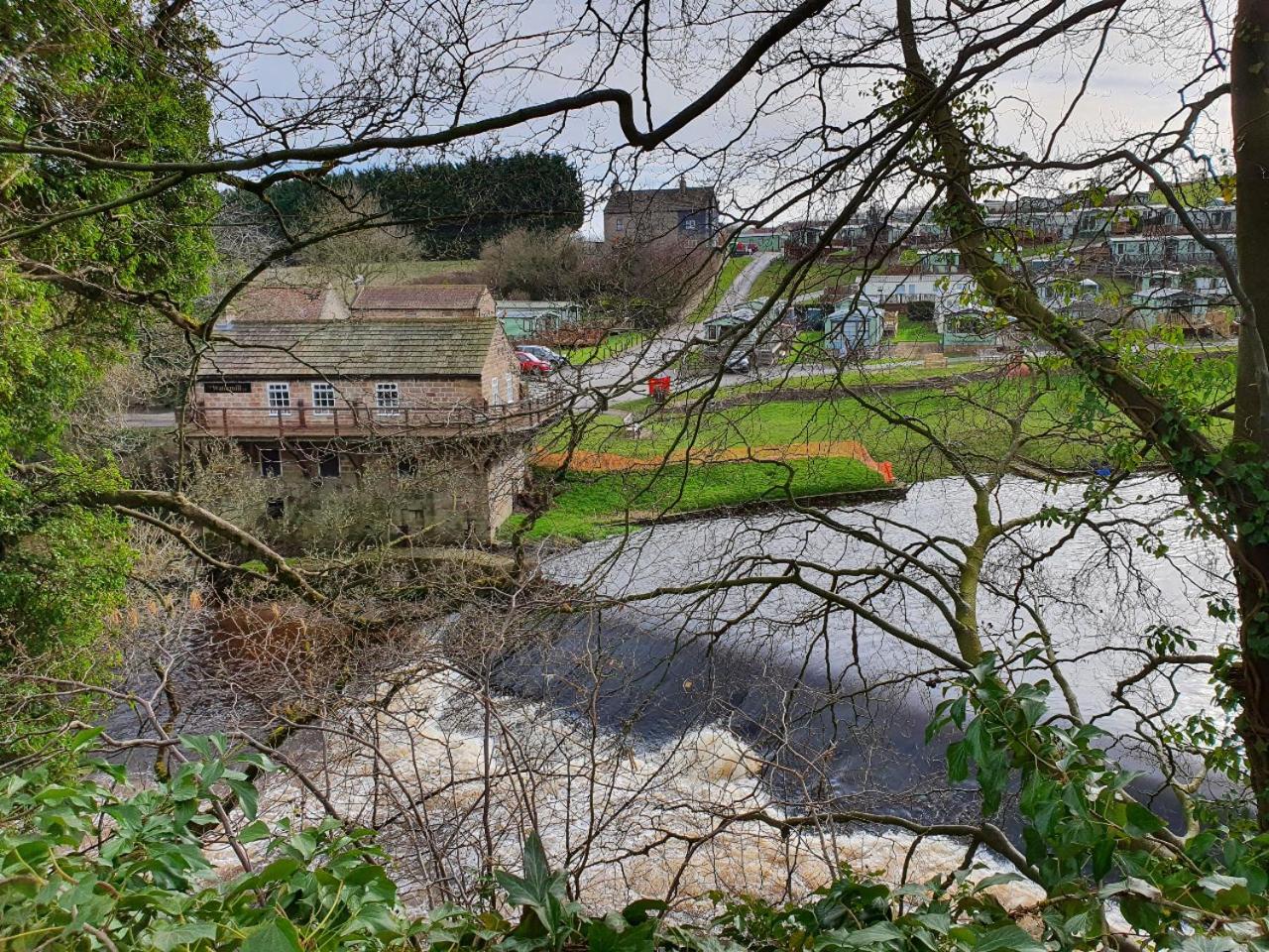 Photo 43