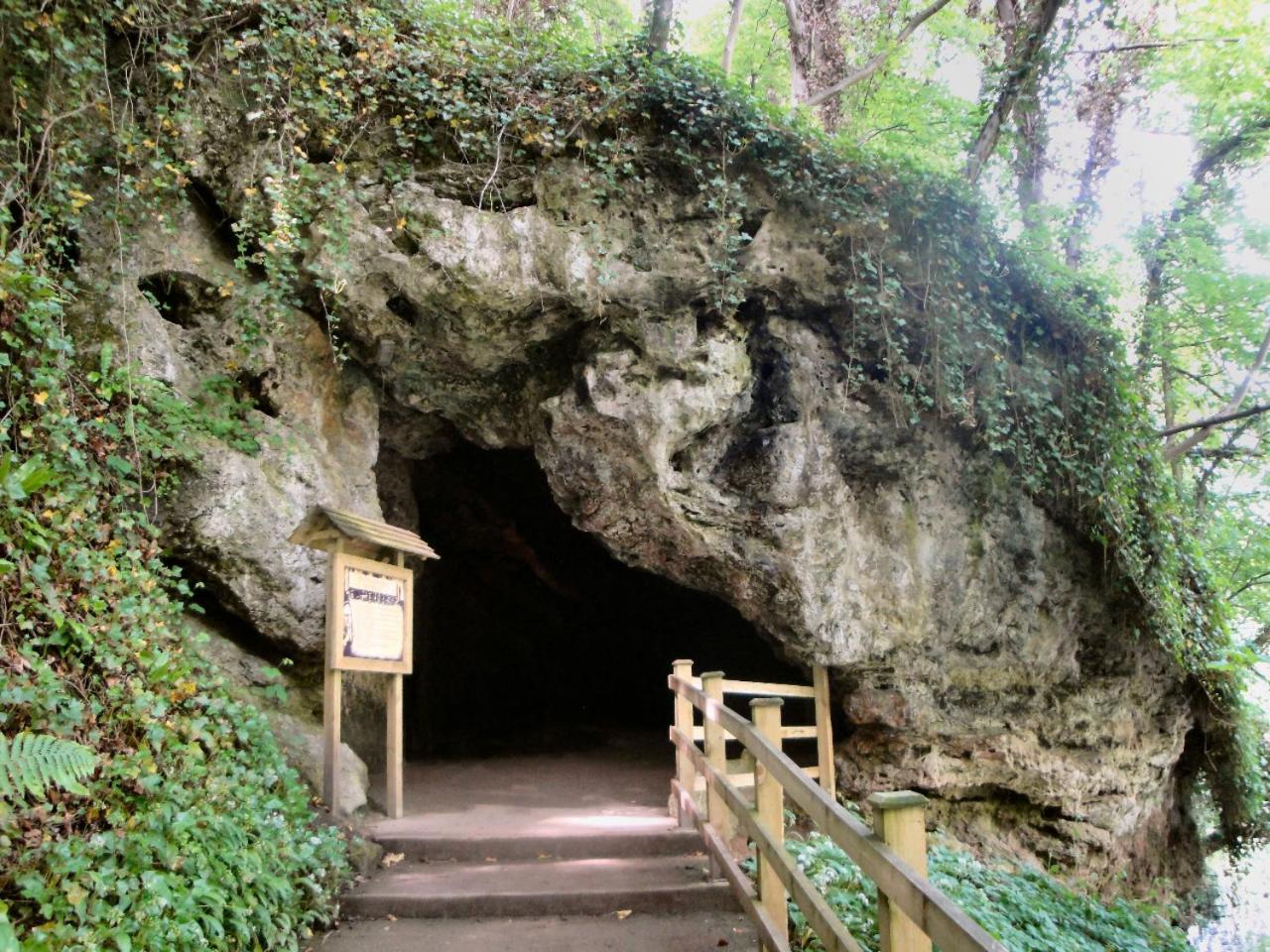 Photo 42