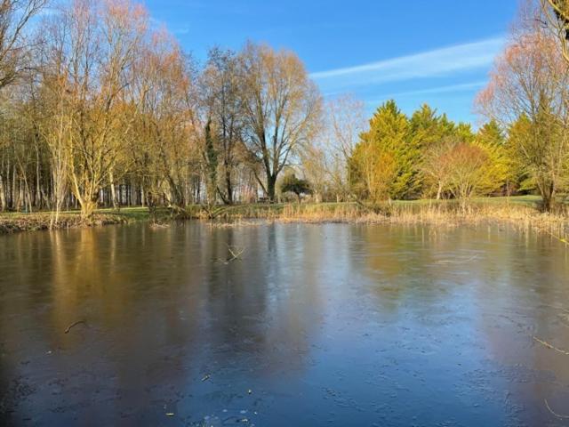 La Marelle