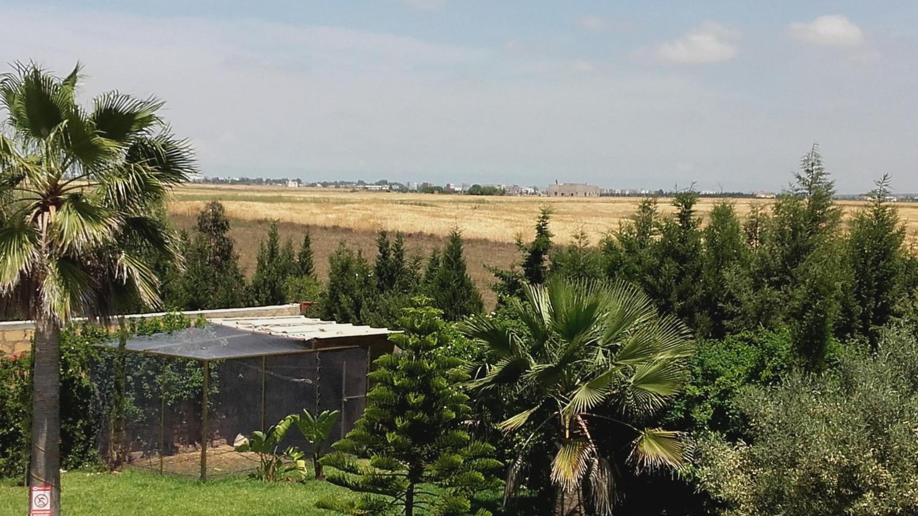 Riad TANJIL photo 2