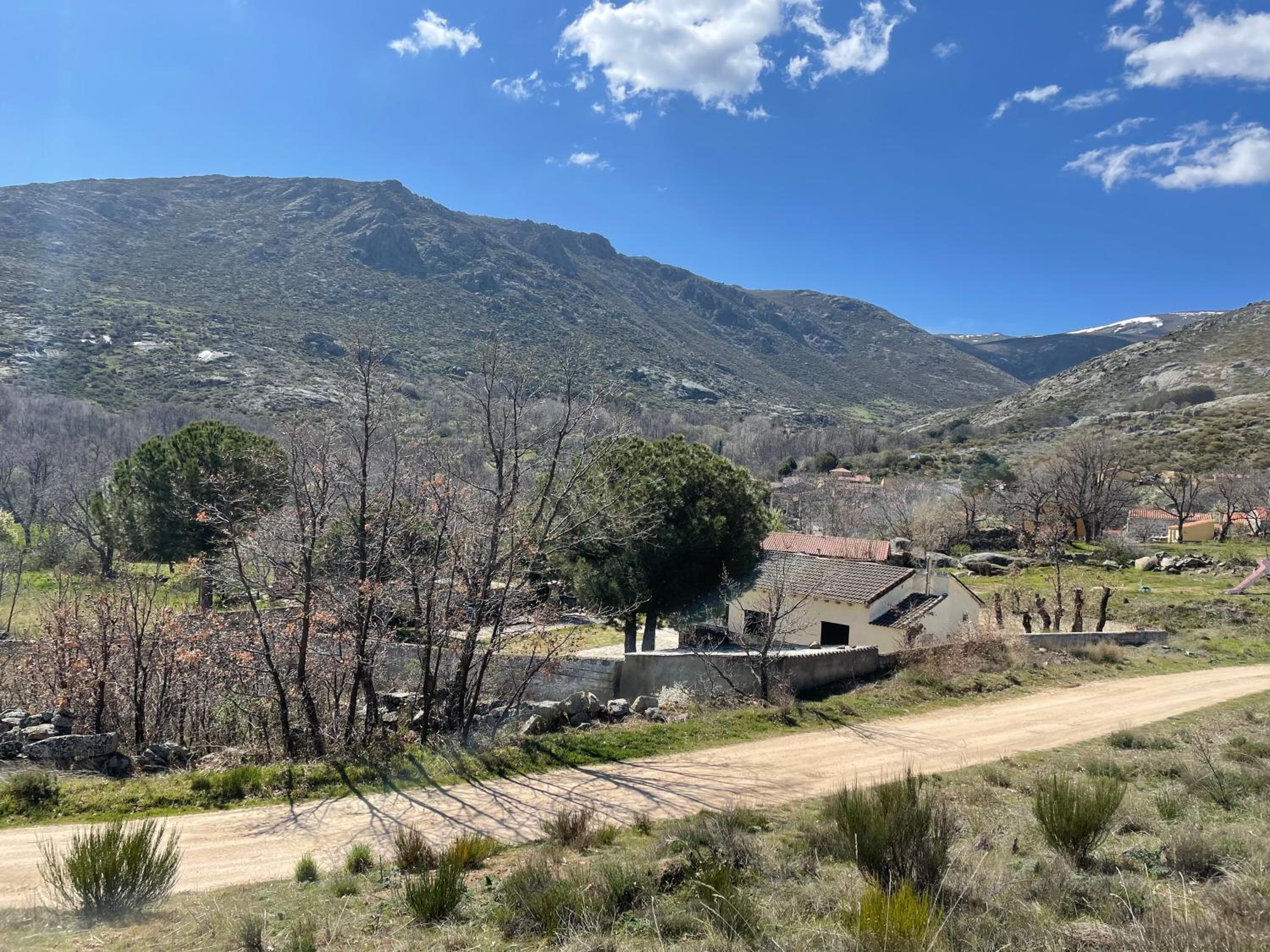 Los Robles view 4