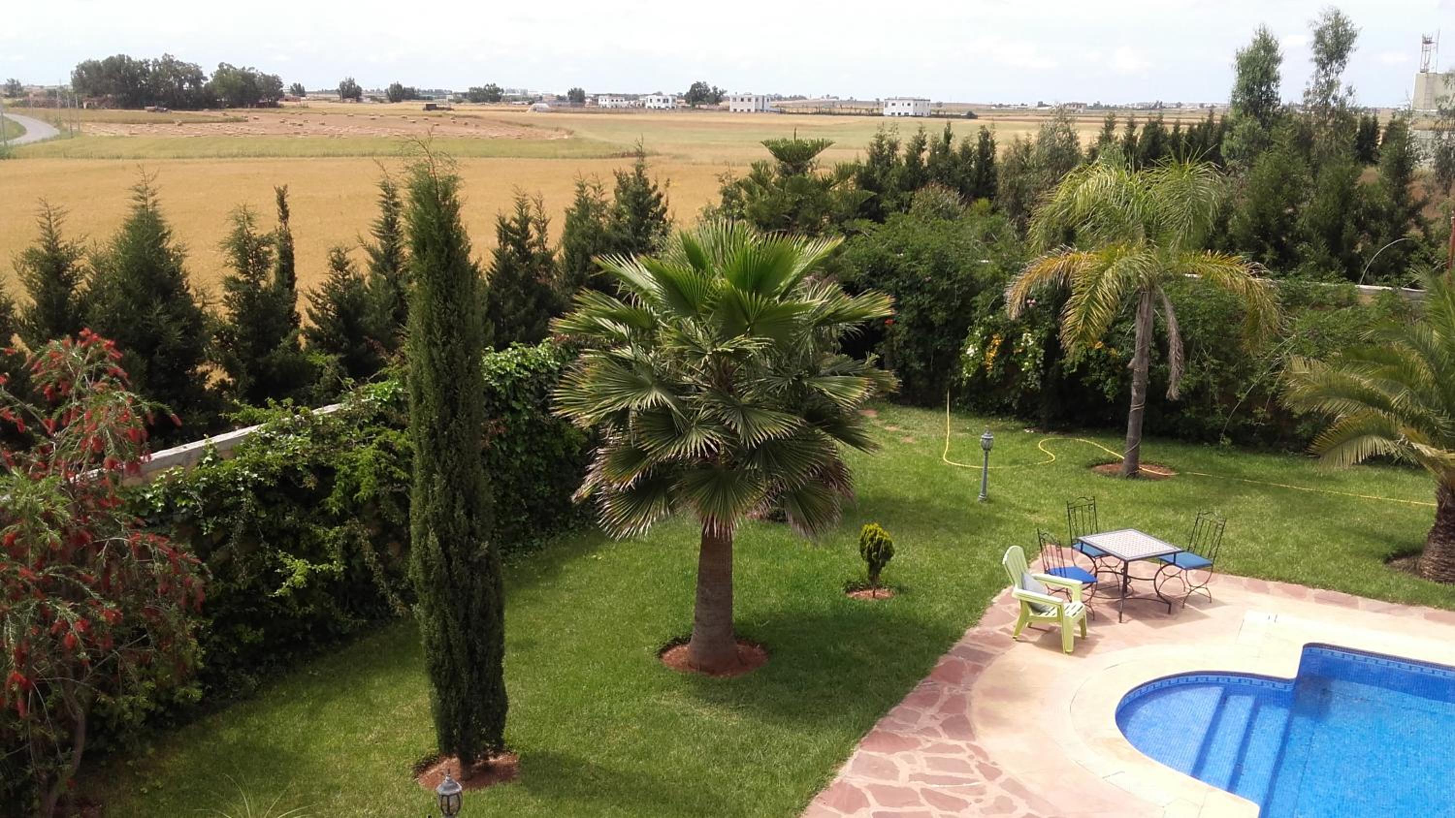 Riad TANJIL photo 42 of 57