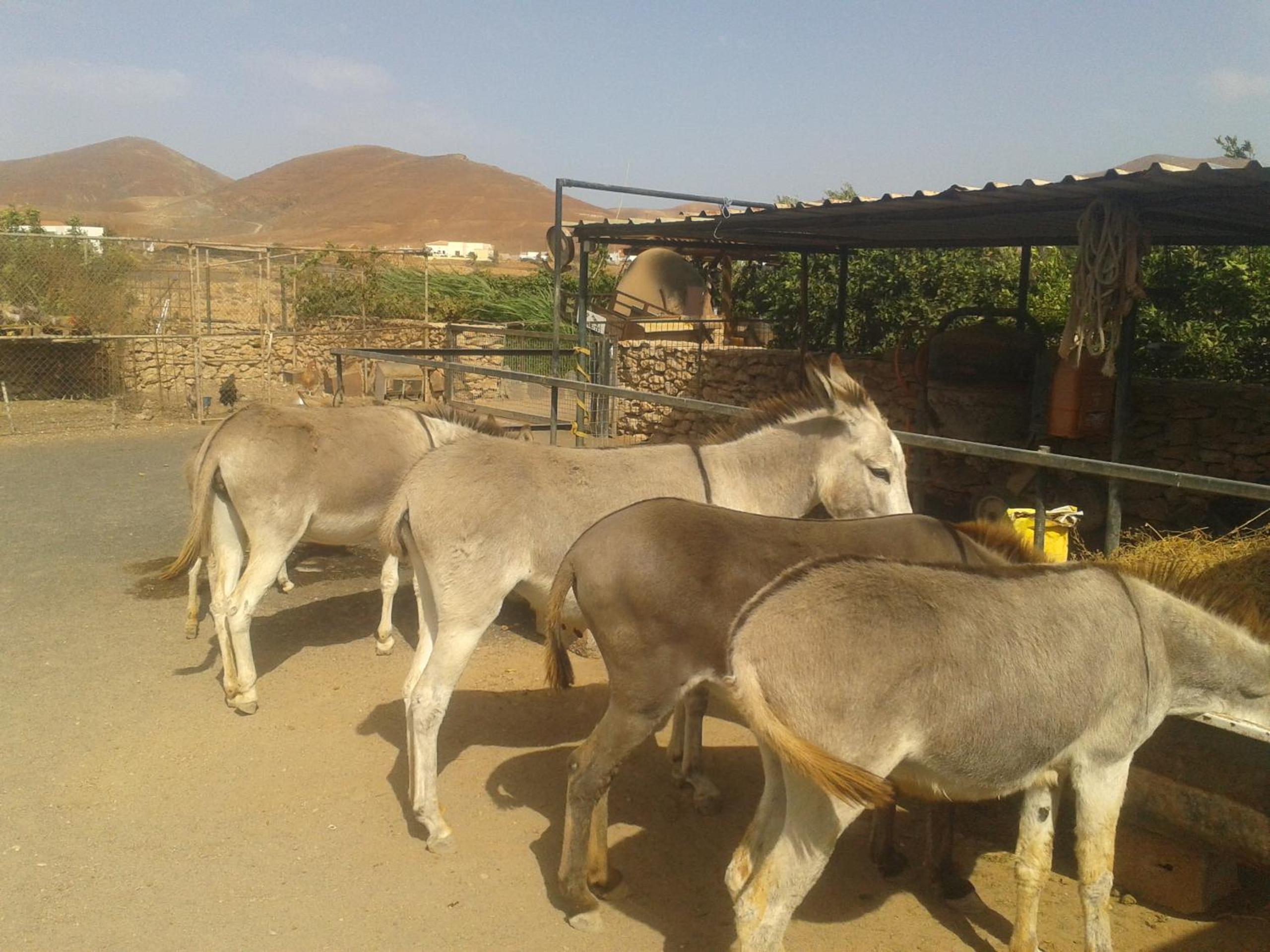 Agroturismo La Gayria