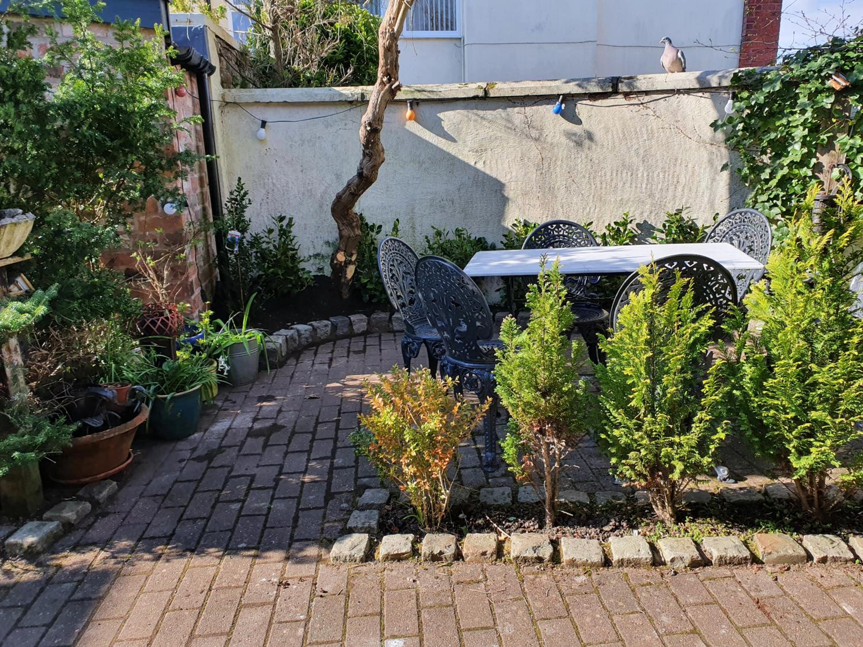 Photo 20