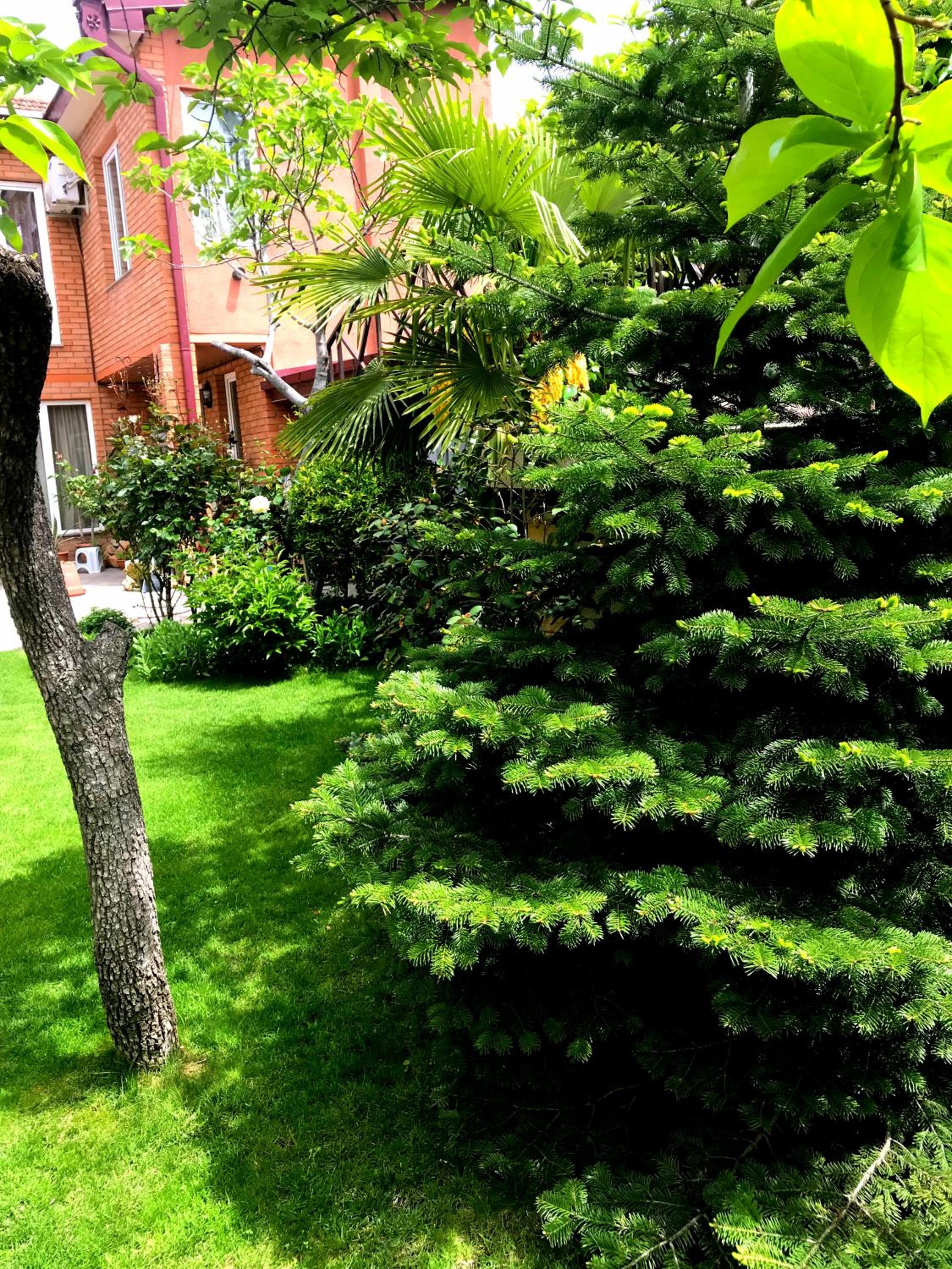 Photo 45