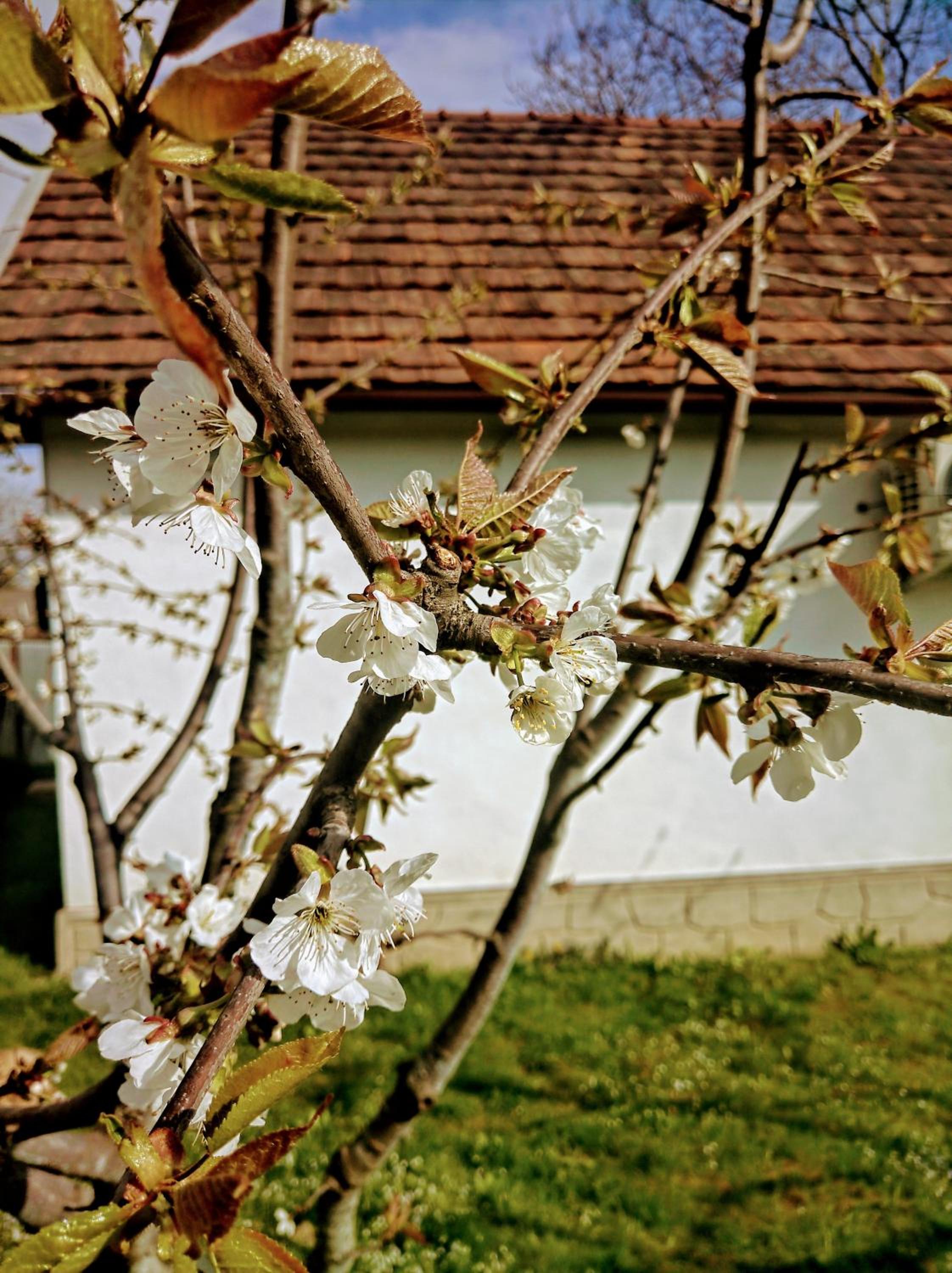 Photo 35