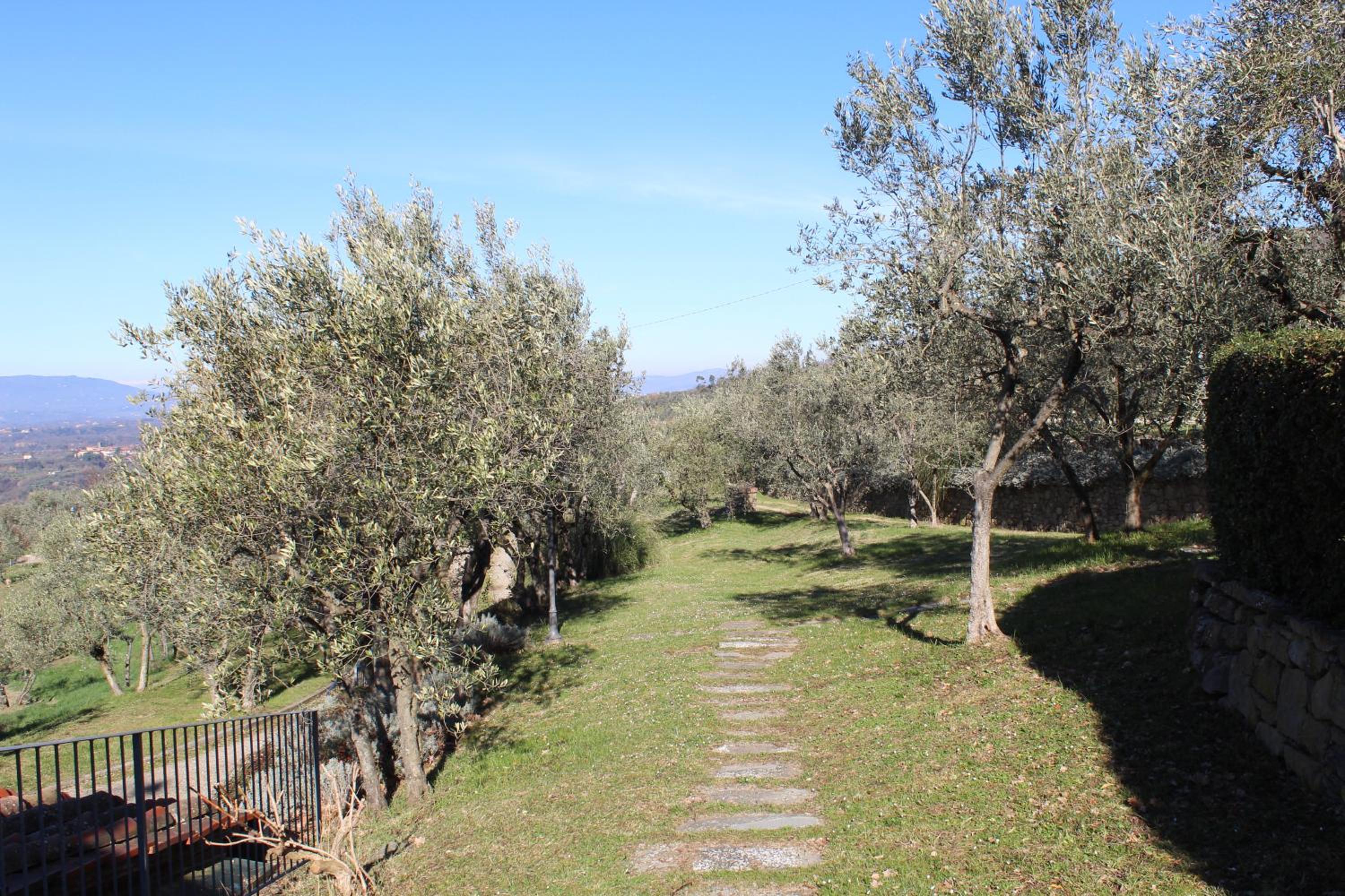 Agriturismo Cafaggio Primo