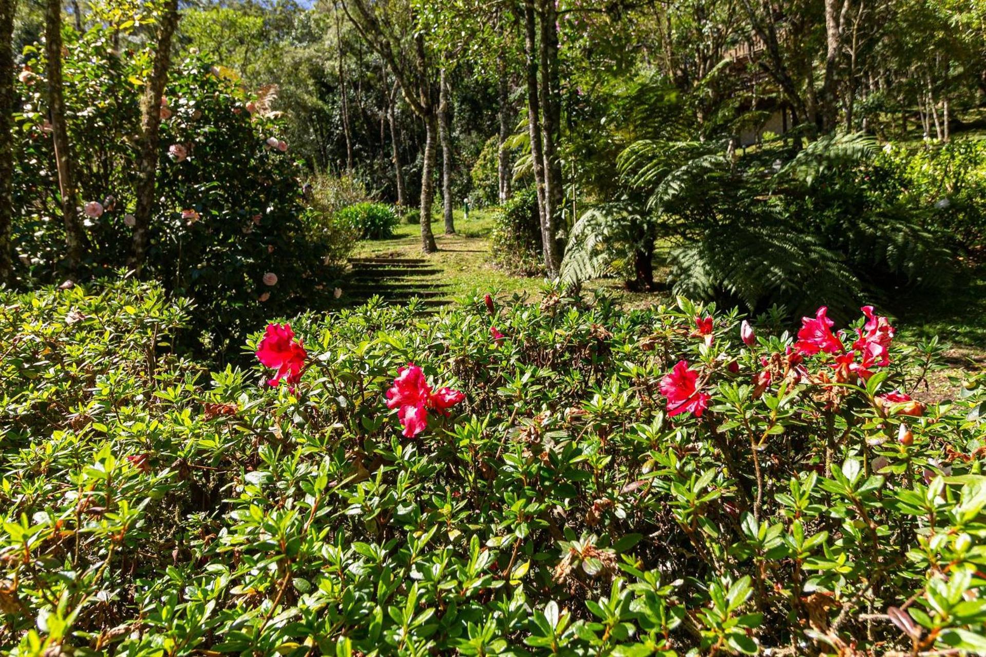Vale do Lajeado - Mountain chalets