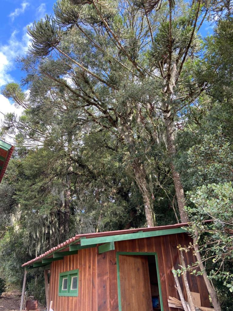 Casa Alternativa Pedacinho do Céu