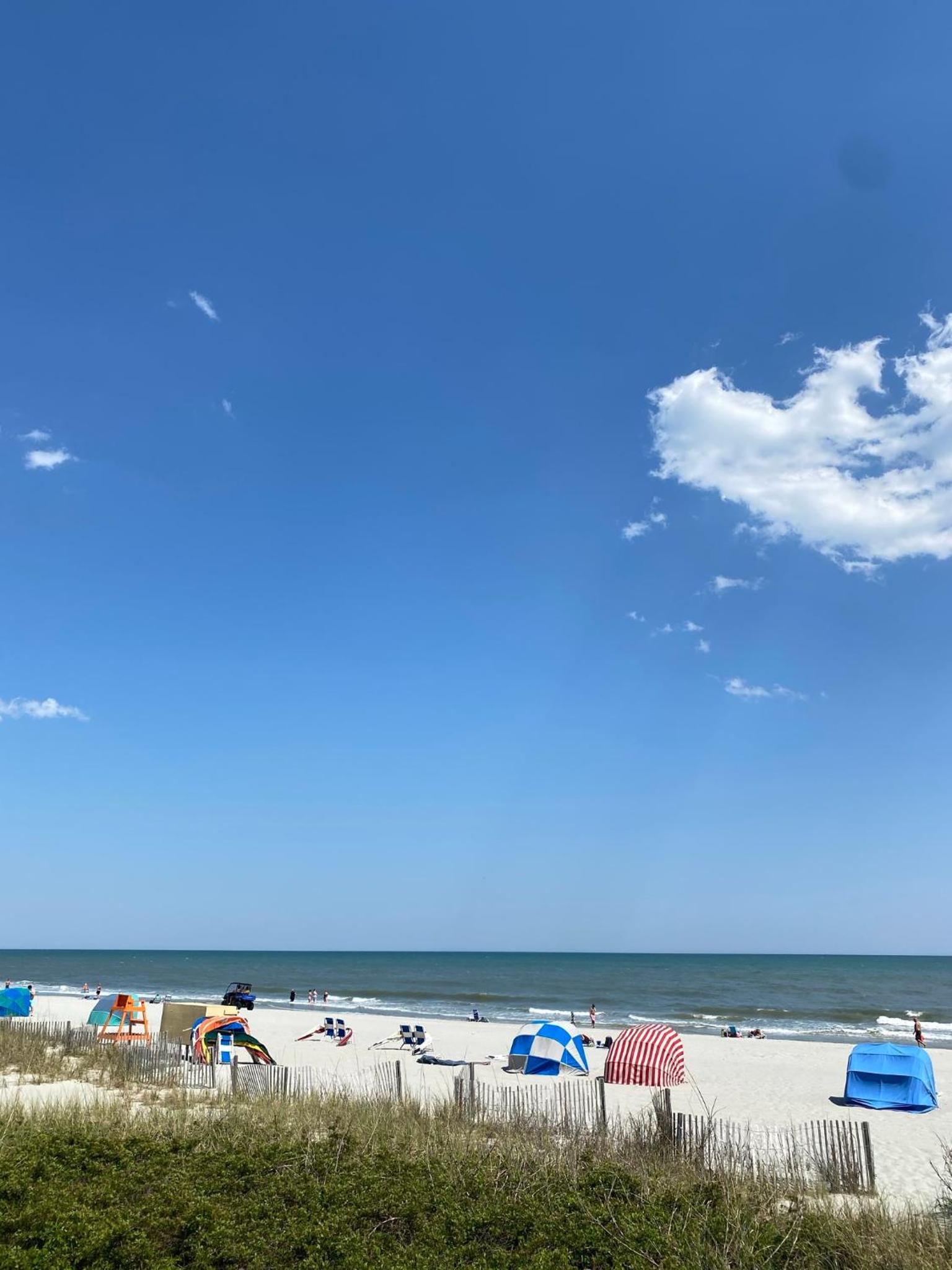 Paradise Found Oceanfront Condo
