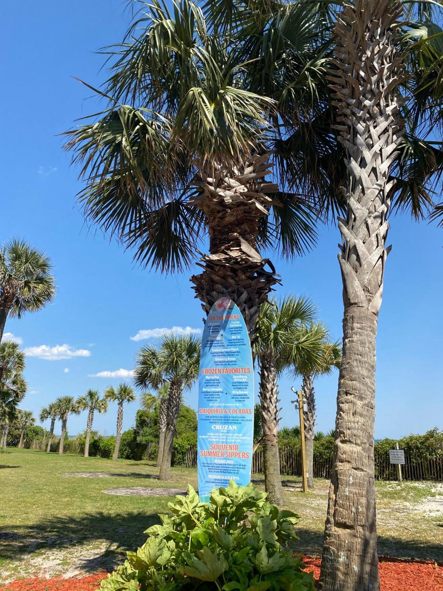 Paradise Found Oceanfront Condo