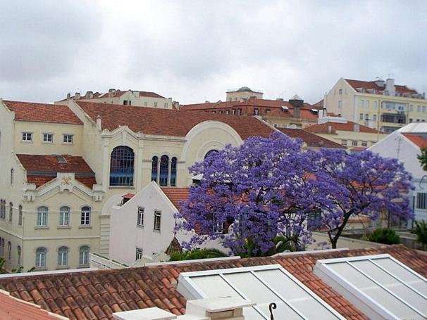 Mosteiro - Lissabon Altstadt view 5