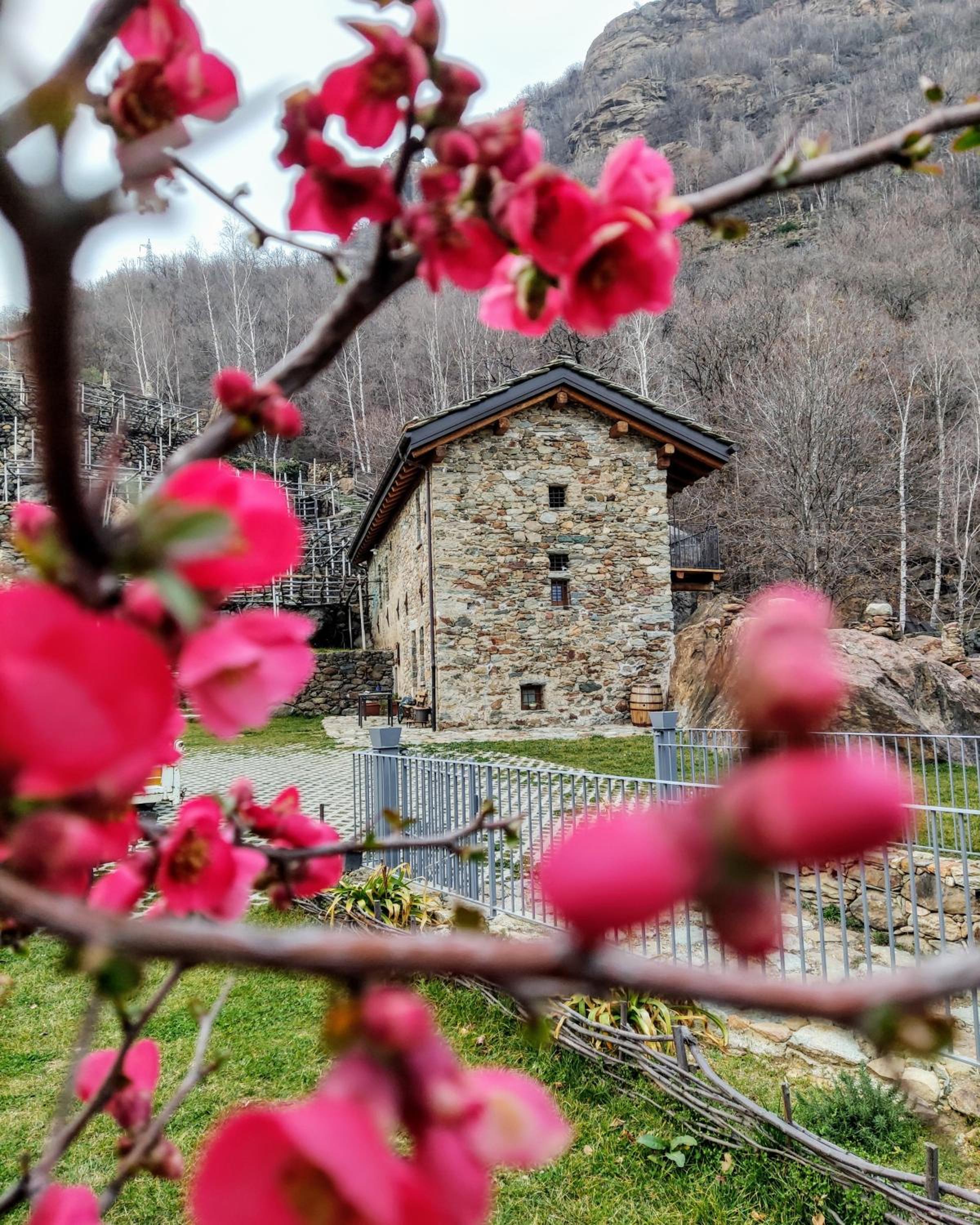 B&B Al Vecchio Torchio