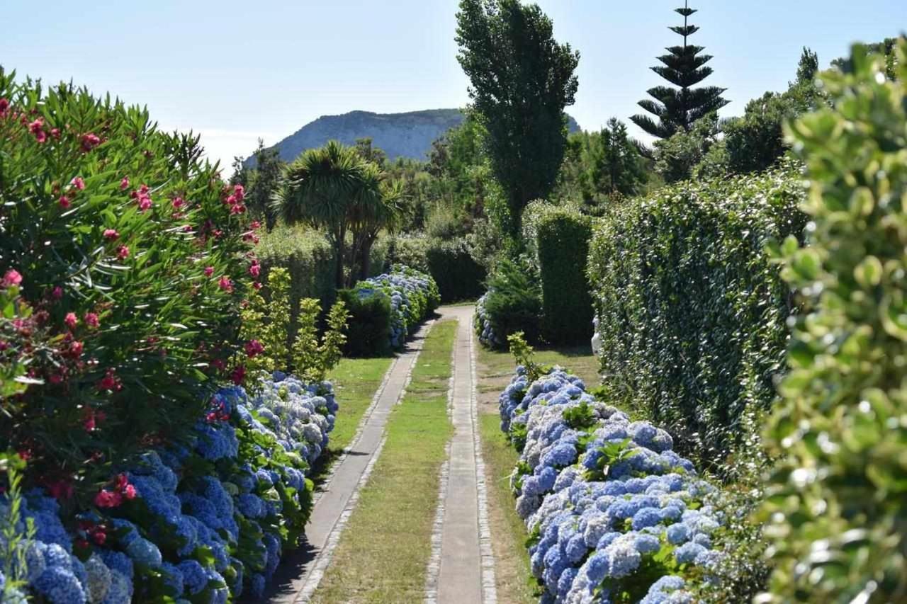 Quinta da Meia Eira