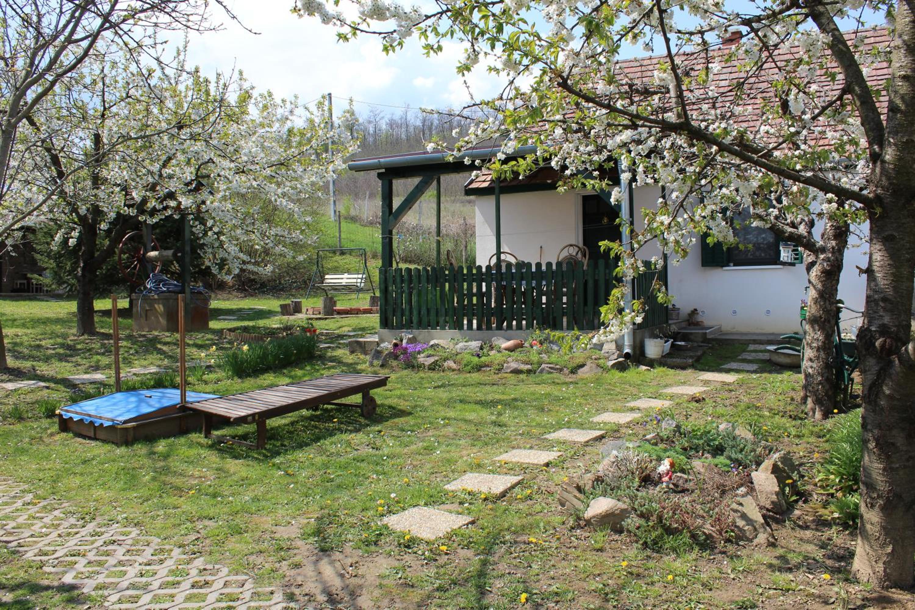 Photo 31