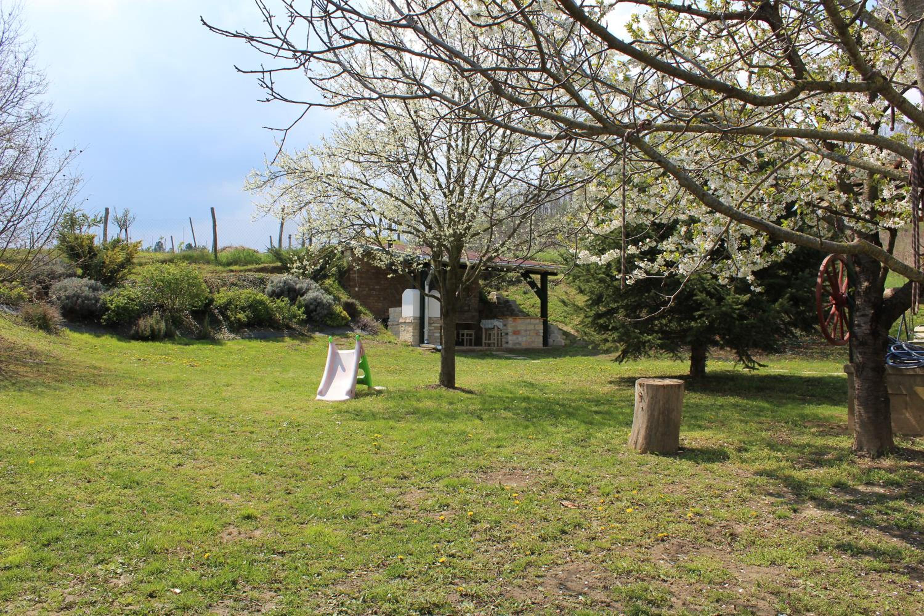 Photo 46