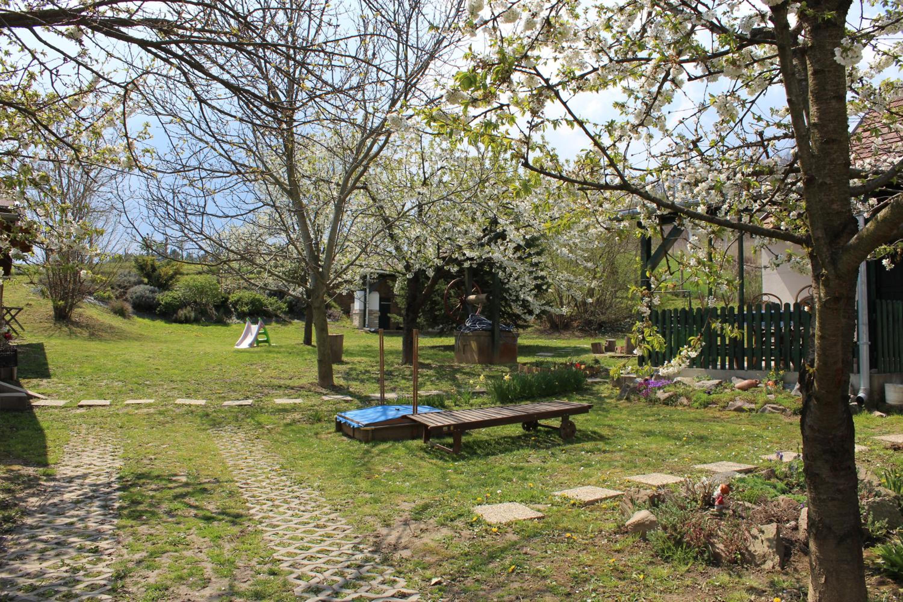 Photo 48