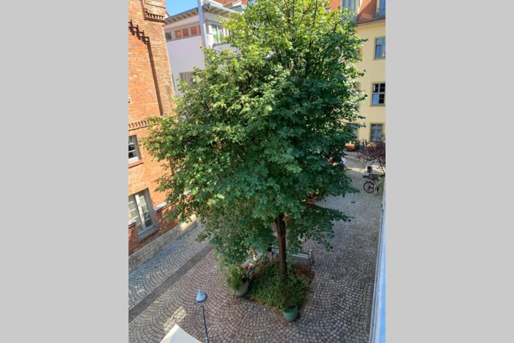 Erfurt Vacations - Altstadt, FEWO im Markthof am Dom - Property Image 4