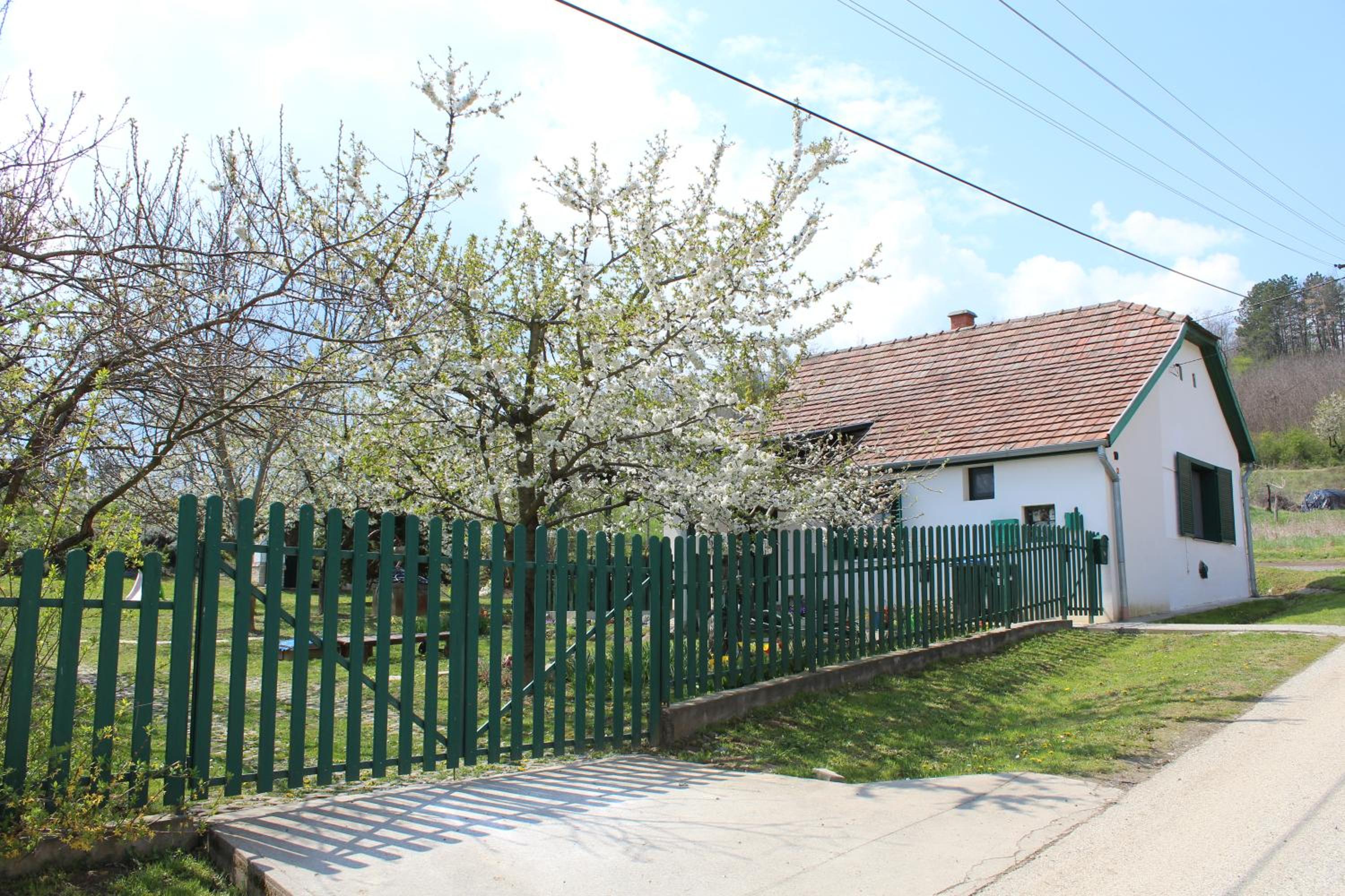 Photo 29