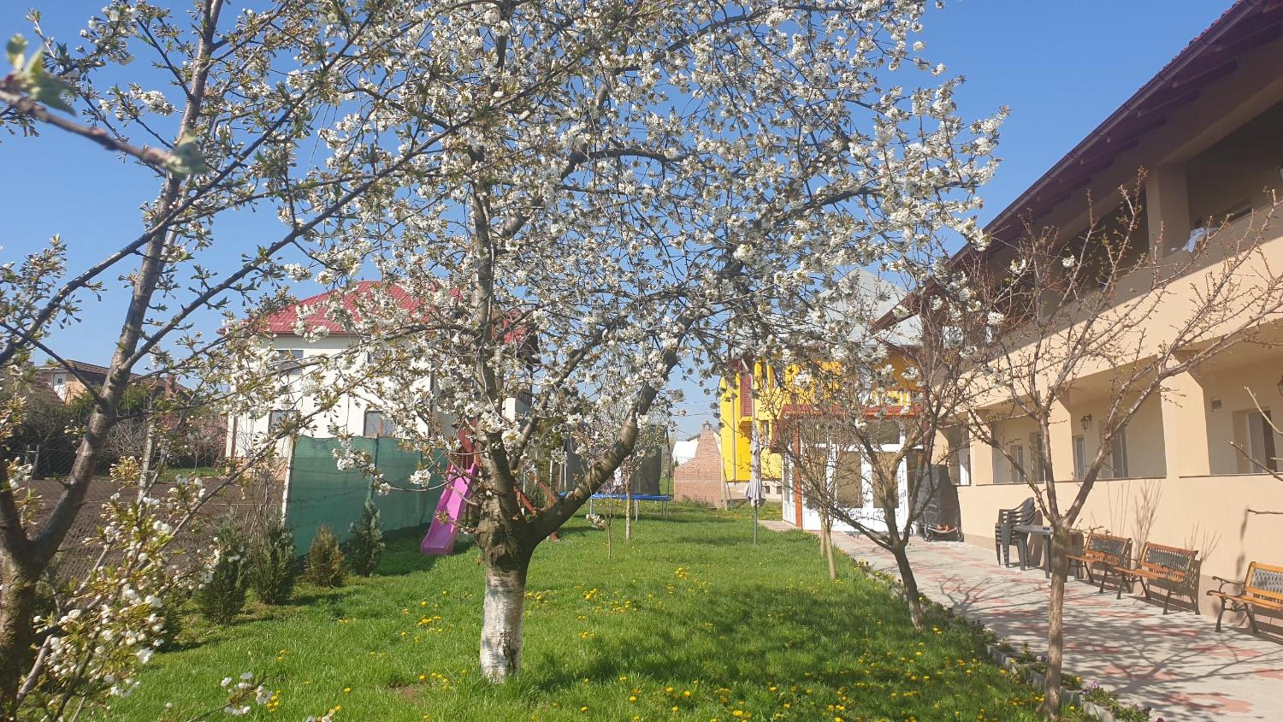 Photo 29
