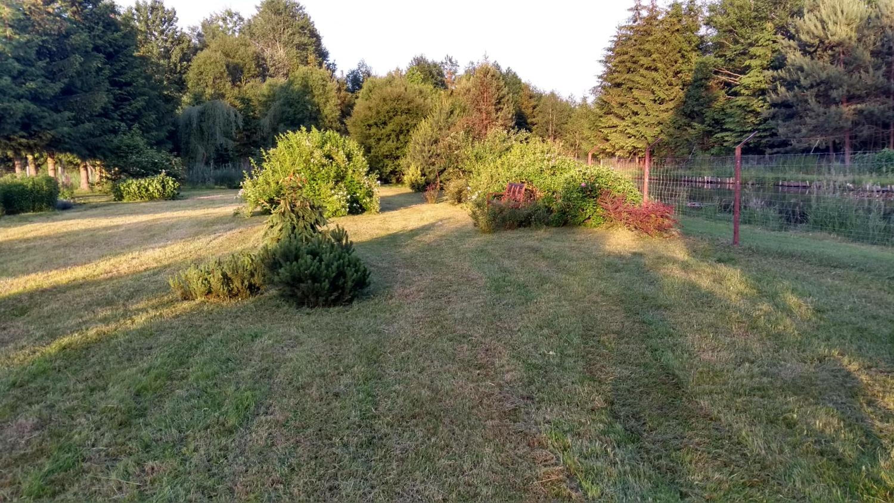 Photo 35