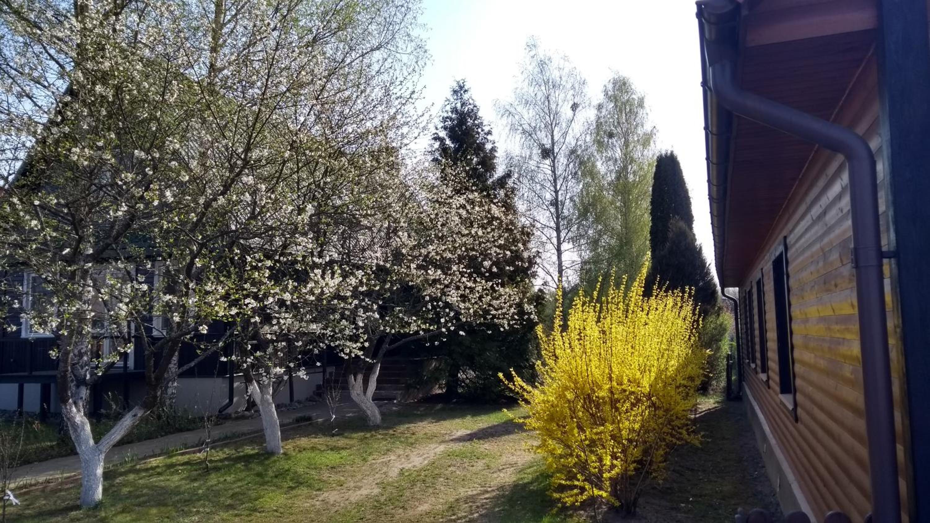 Photo 34