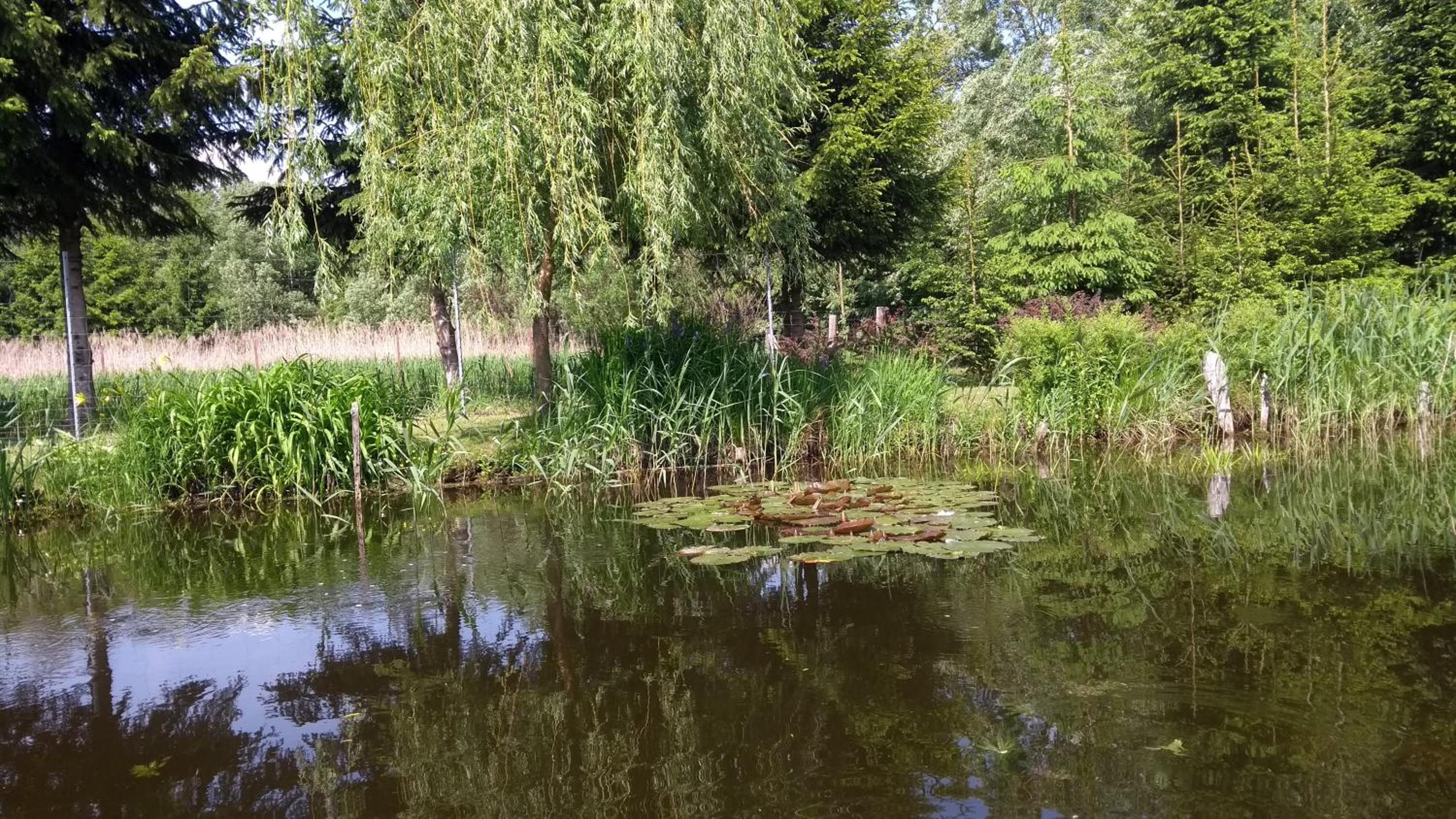Photo 33