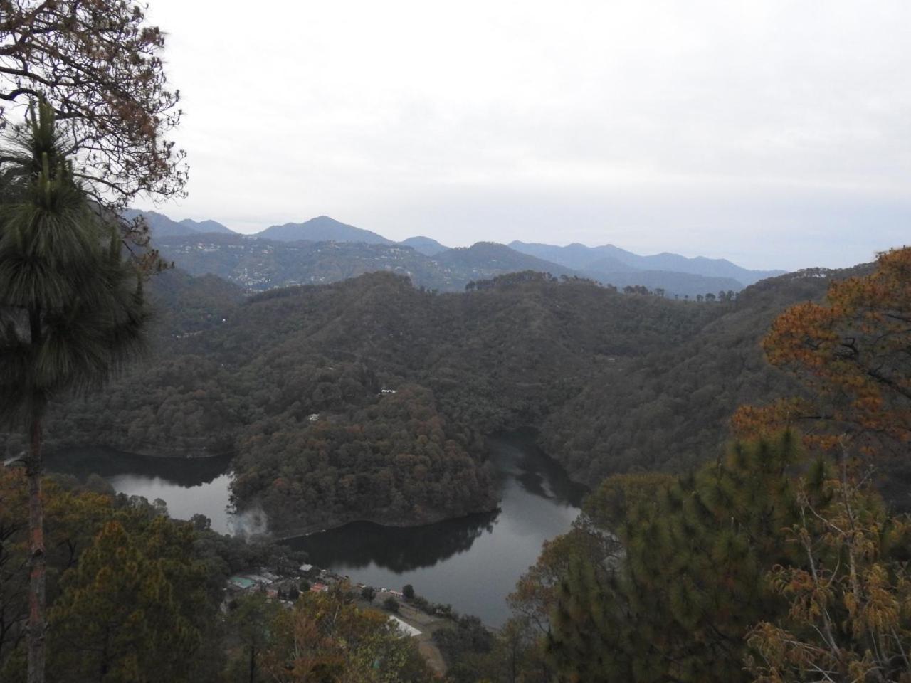 Vamoose Camp Suryagaon view 2