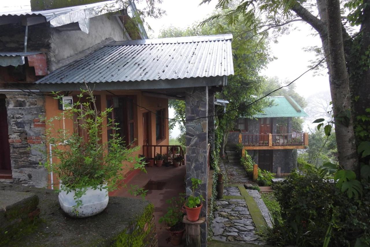 Vamoose Camp Suryagaon view 3