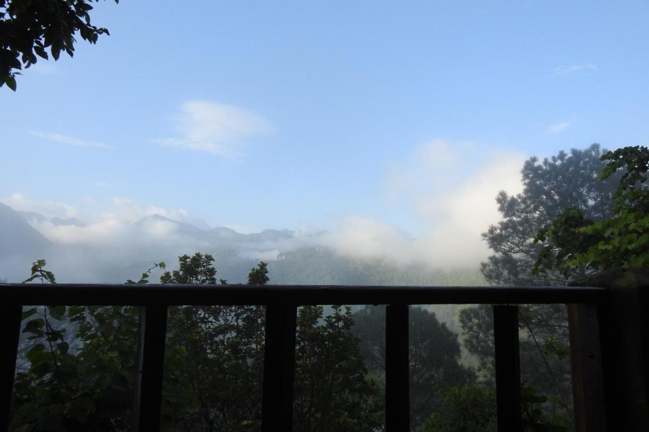 Vamoose Camp Suryagaon view 5