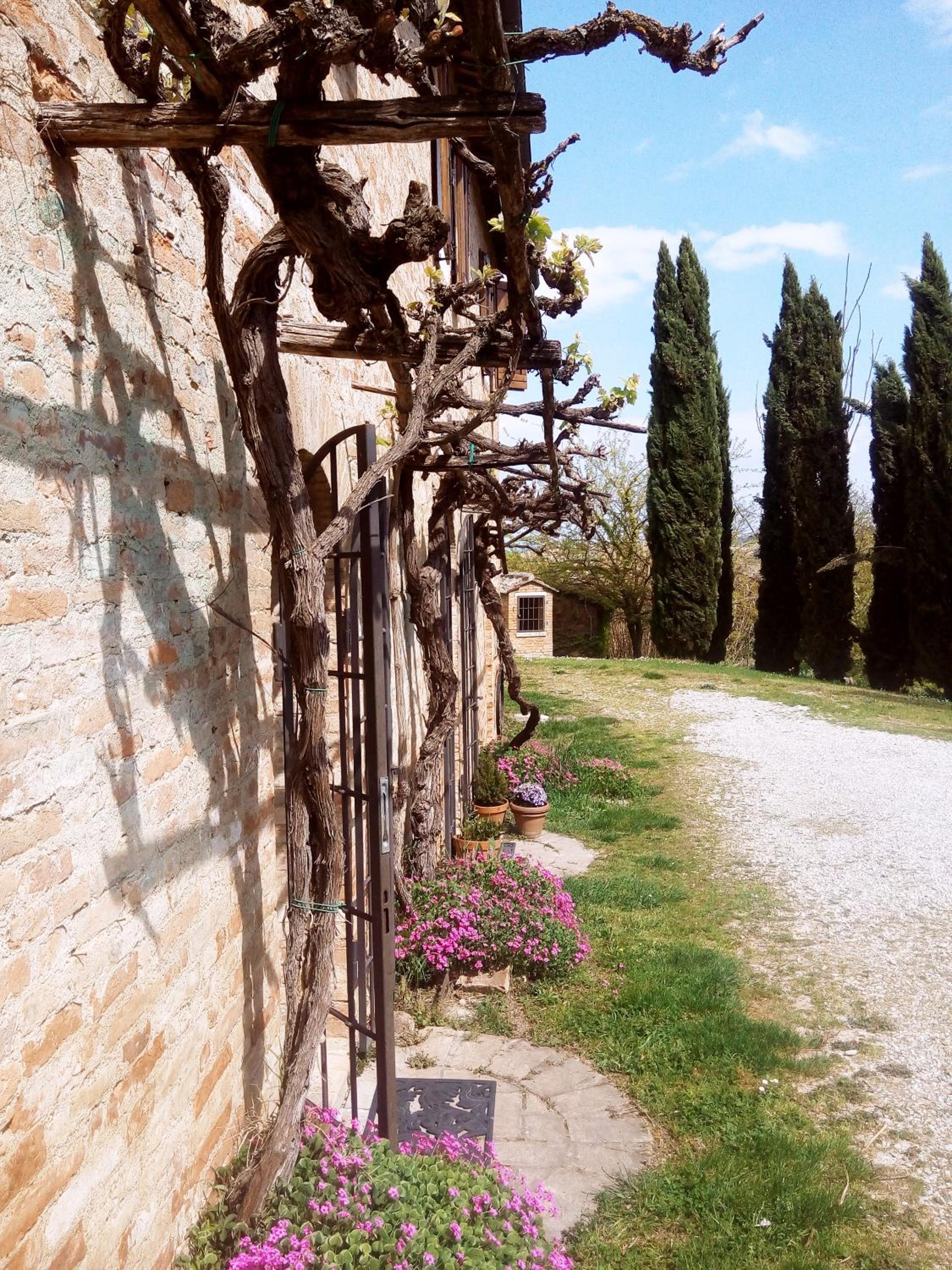 Podere Cartaio Bio Farm, private pool, AirC