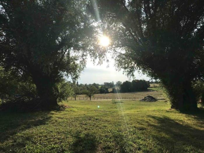La Grange à outeaux view 4