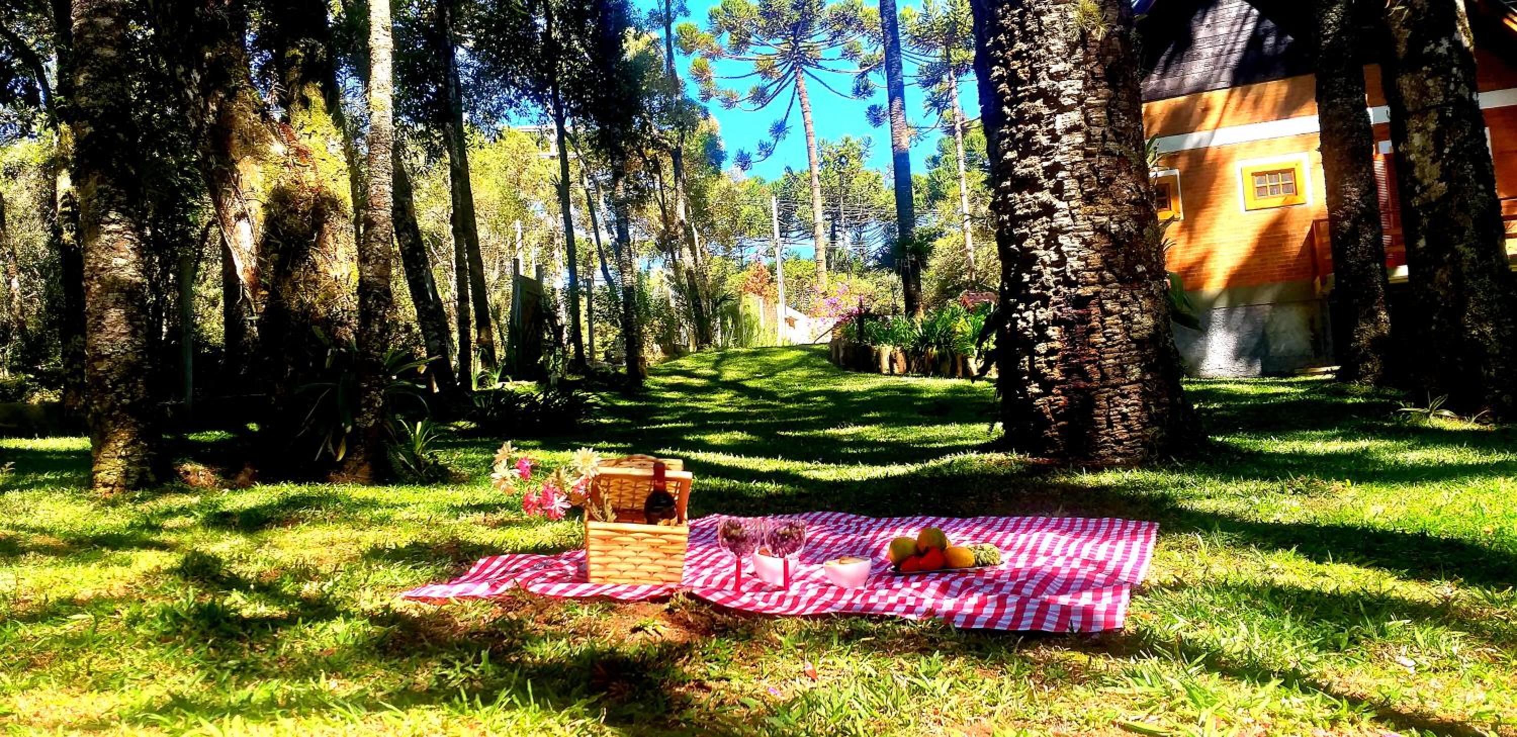 Bosque das Araucárias