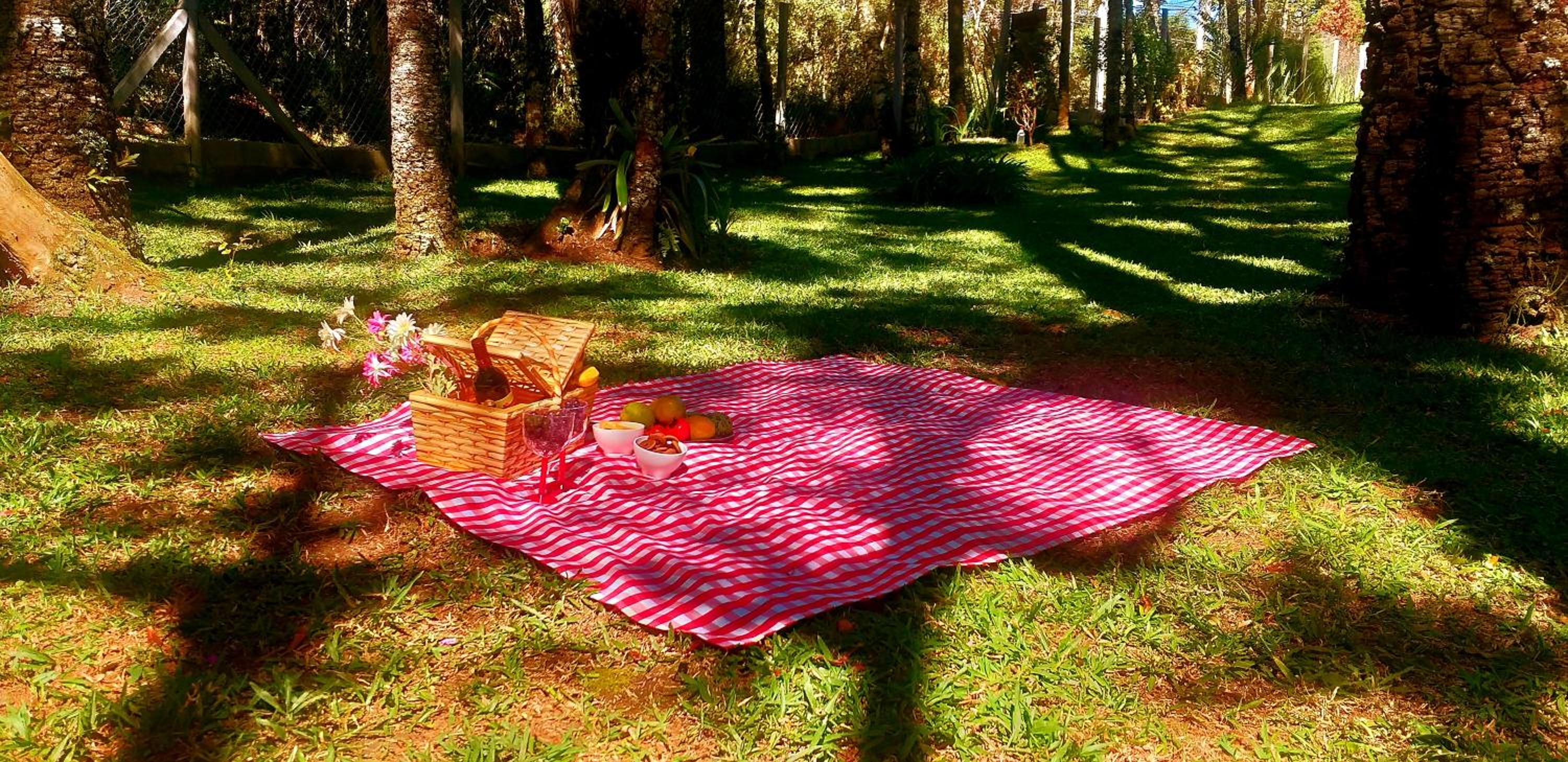 Bosque das Araucárias