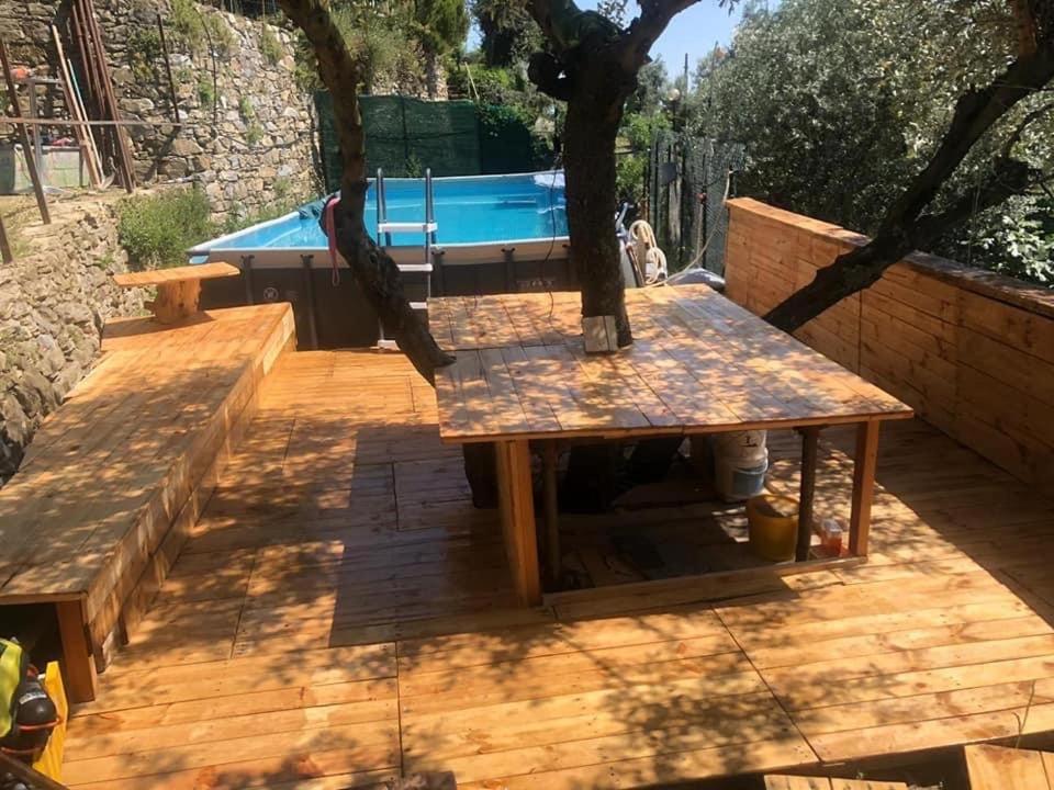 Azalea en Recco