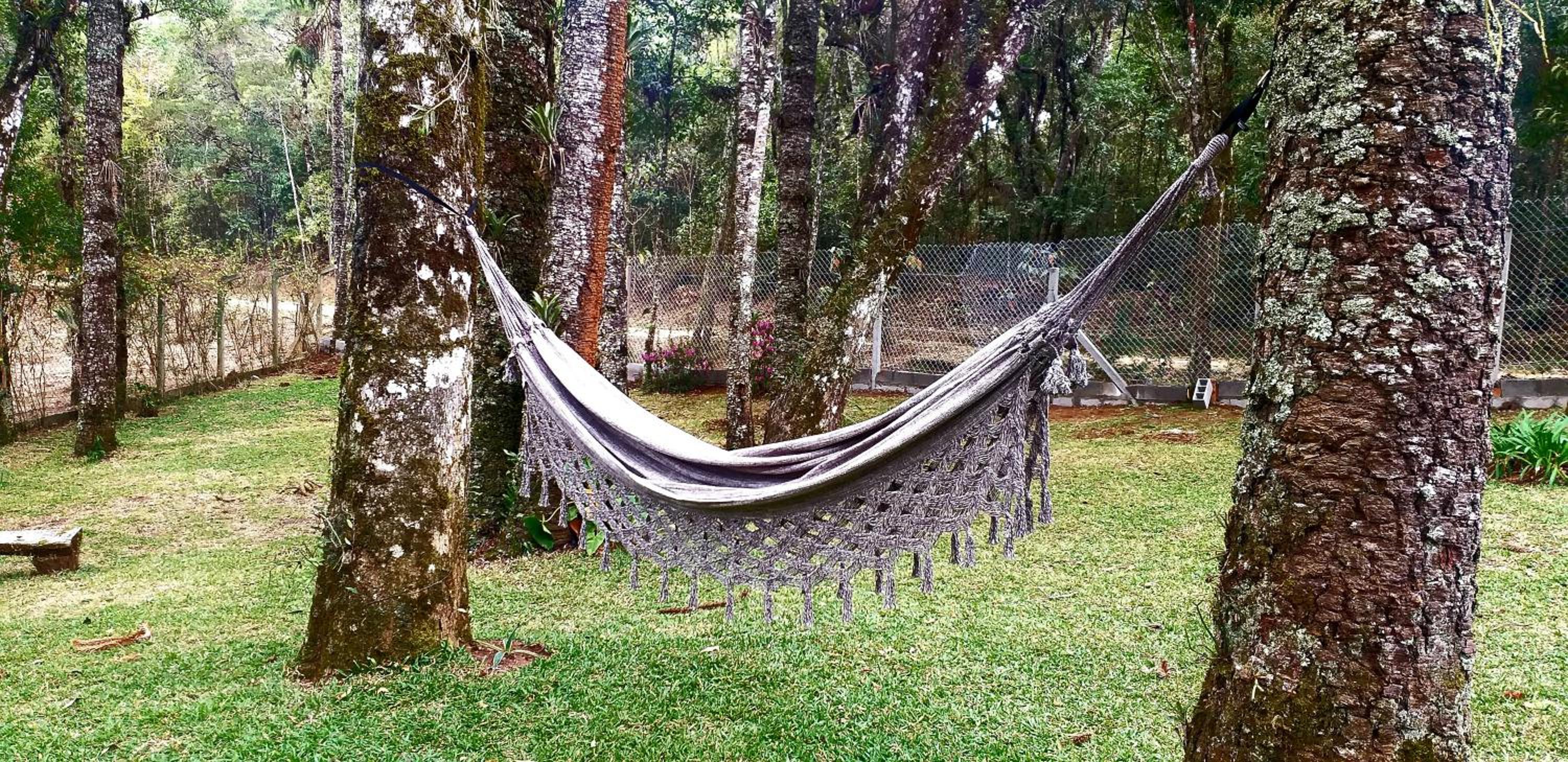 Bosque das Araucárias