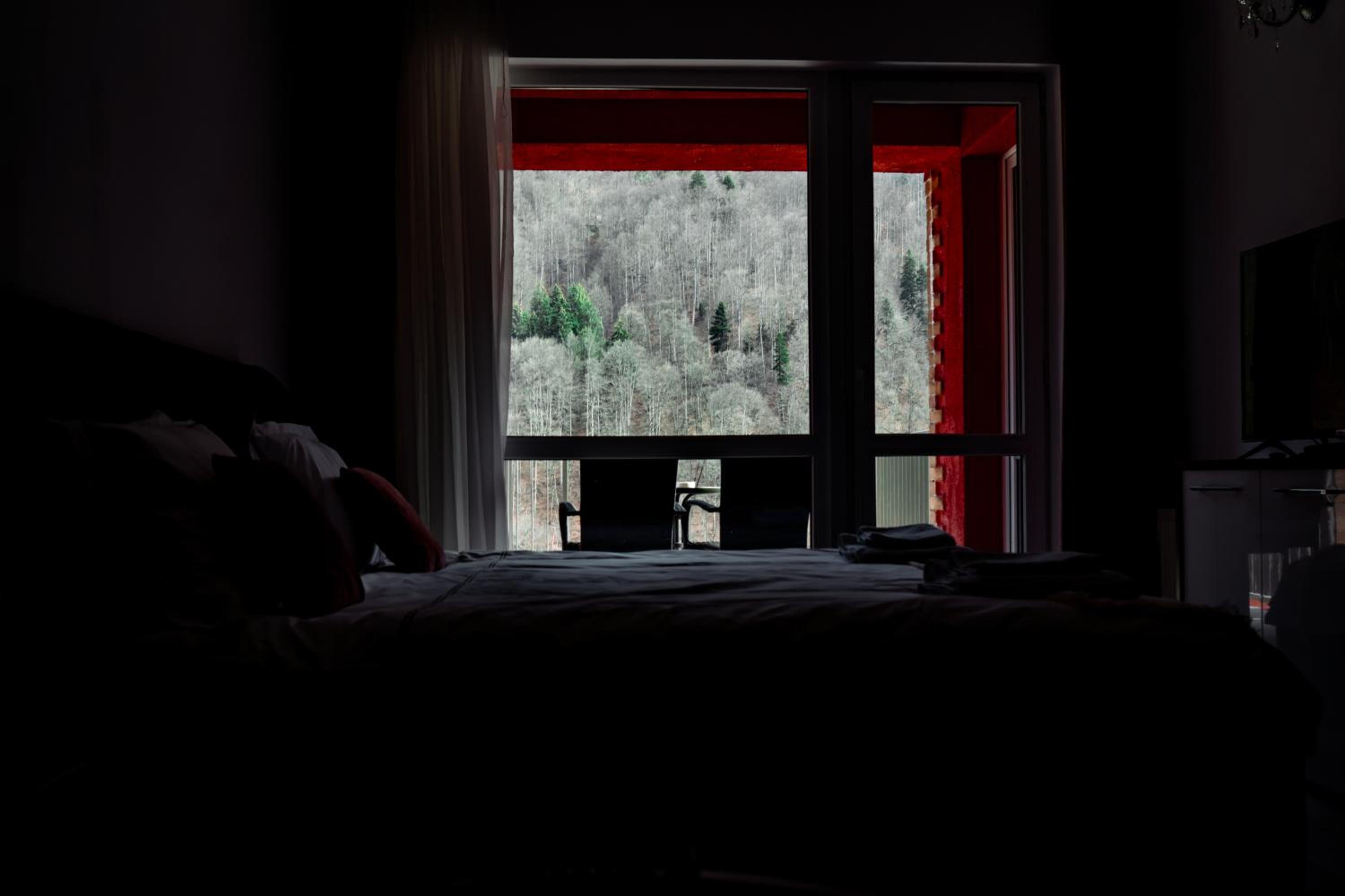 Photo 43