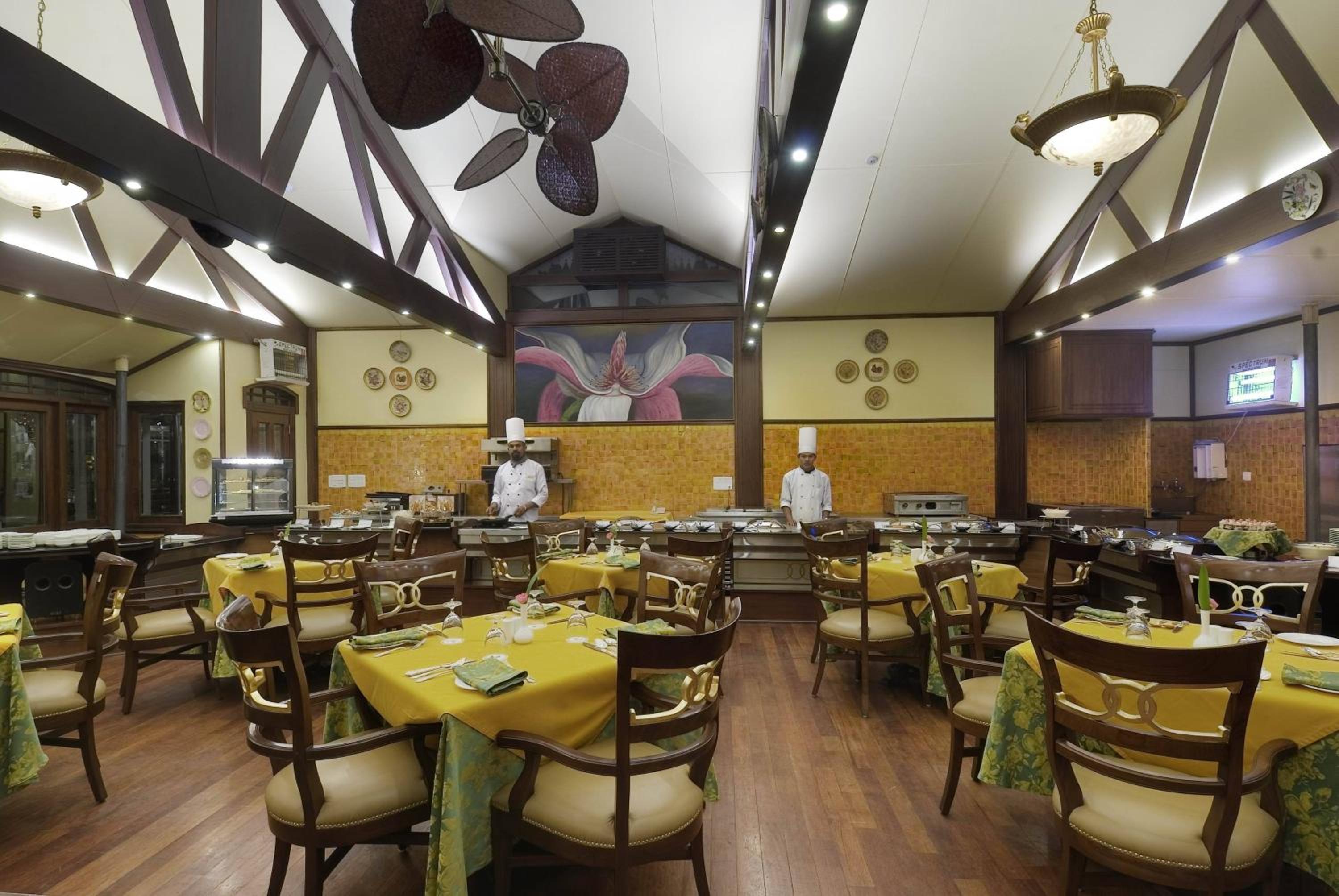 Mayfair Darjeeling