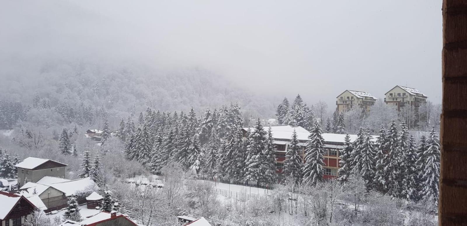 Hotel Elite Apartments Sinaia - Image 1