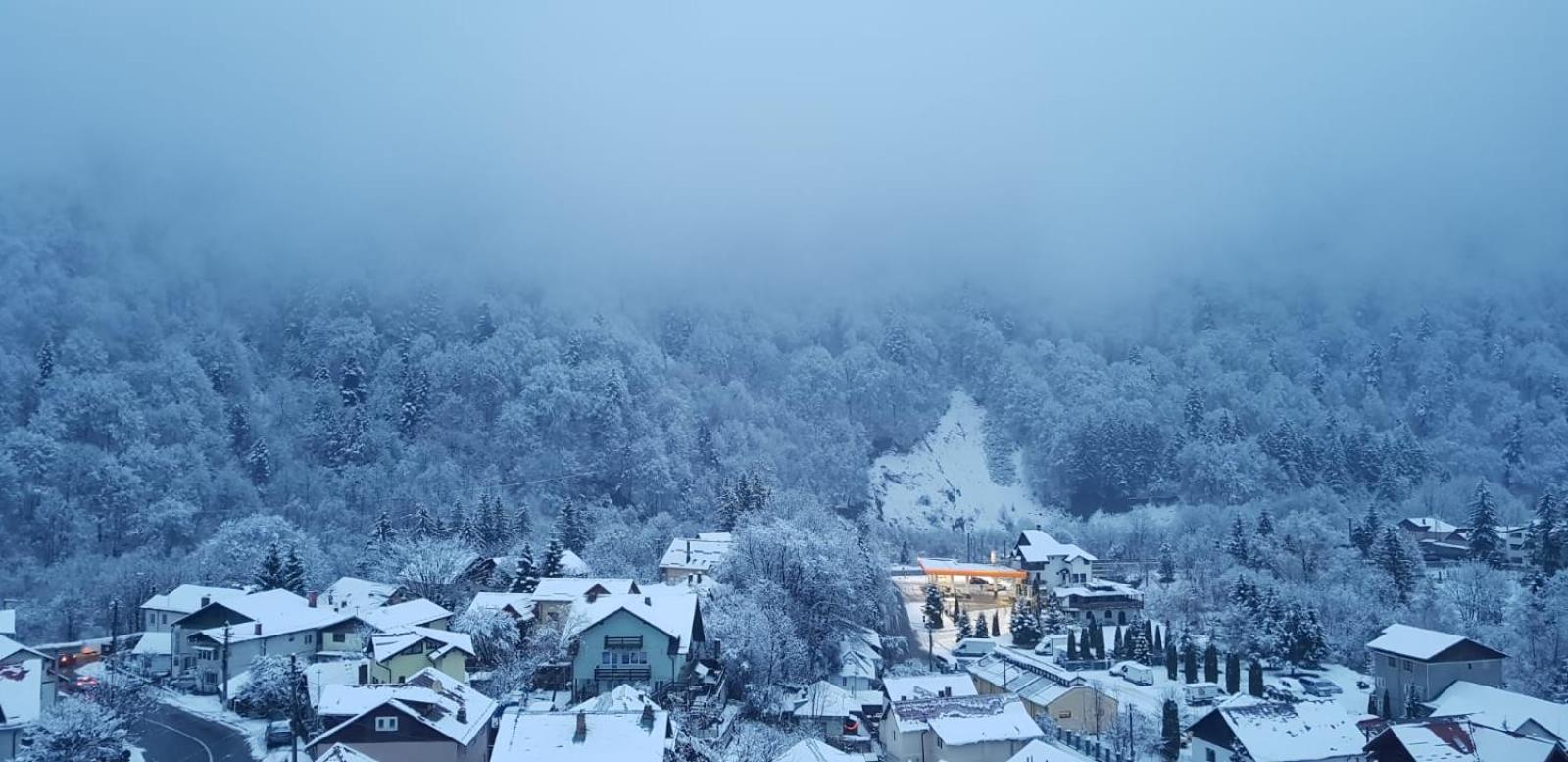 Elite Apartments Sinaia view 2