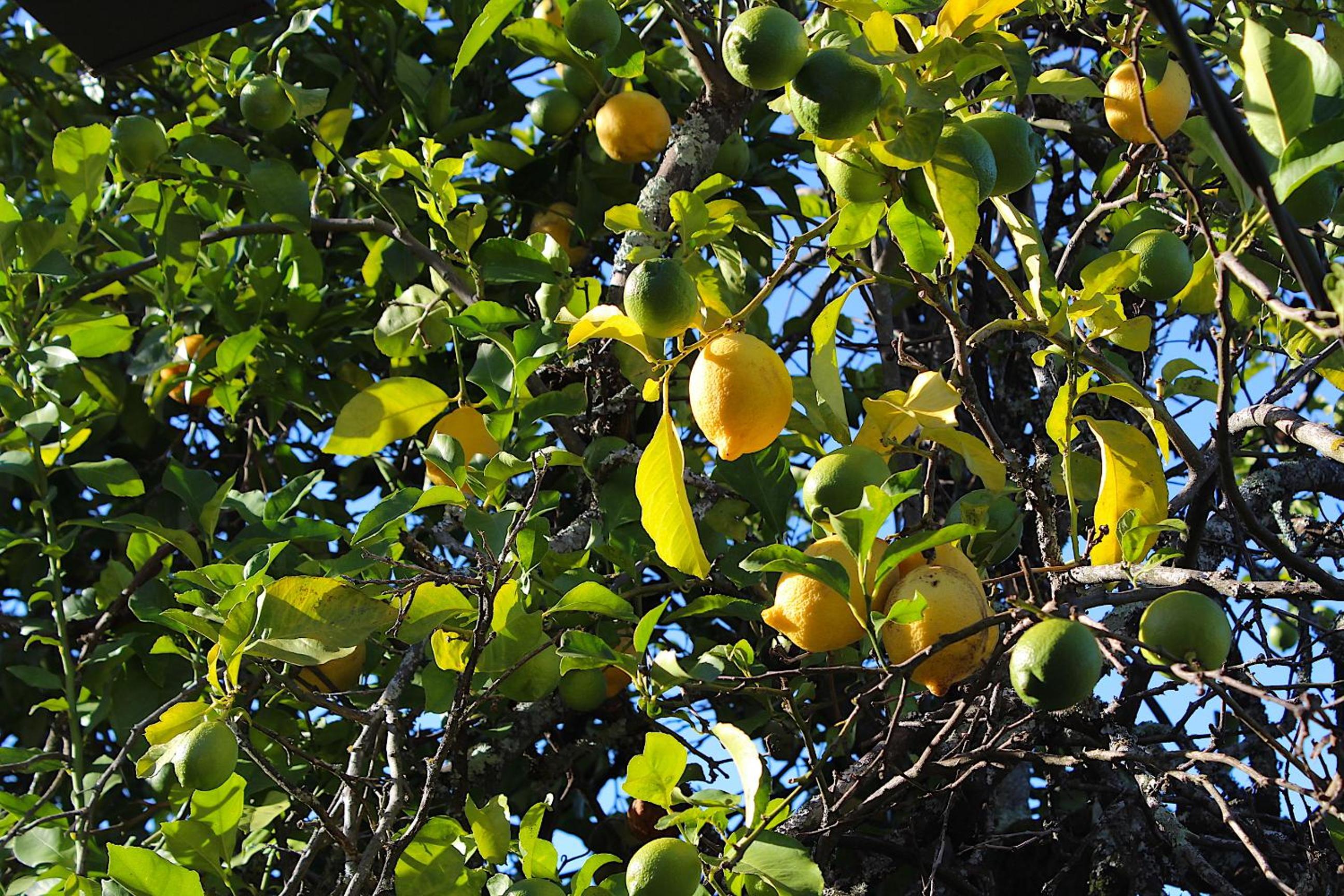 Recanto Tia São Magalhães view 3