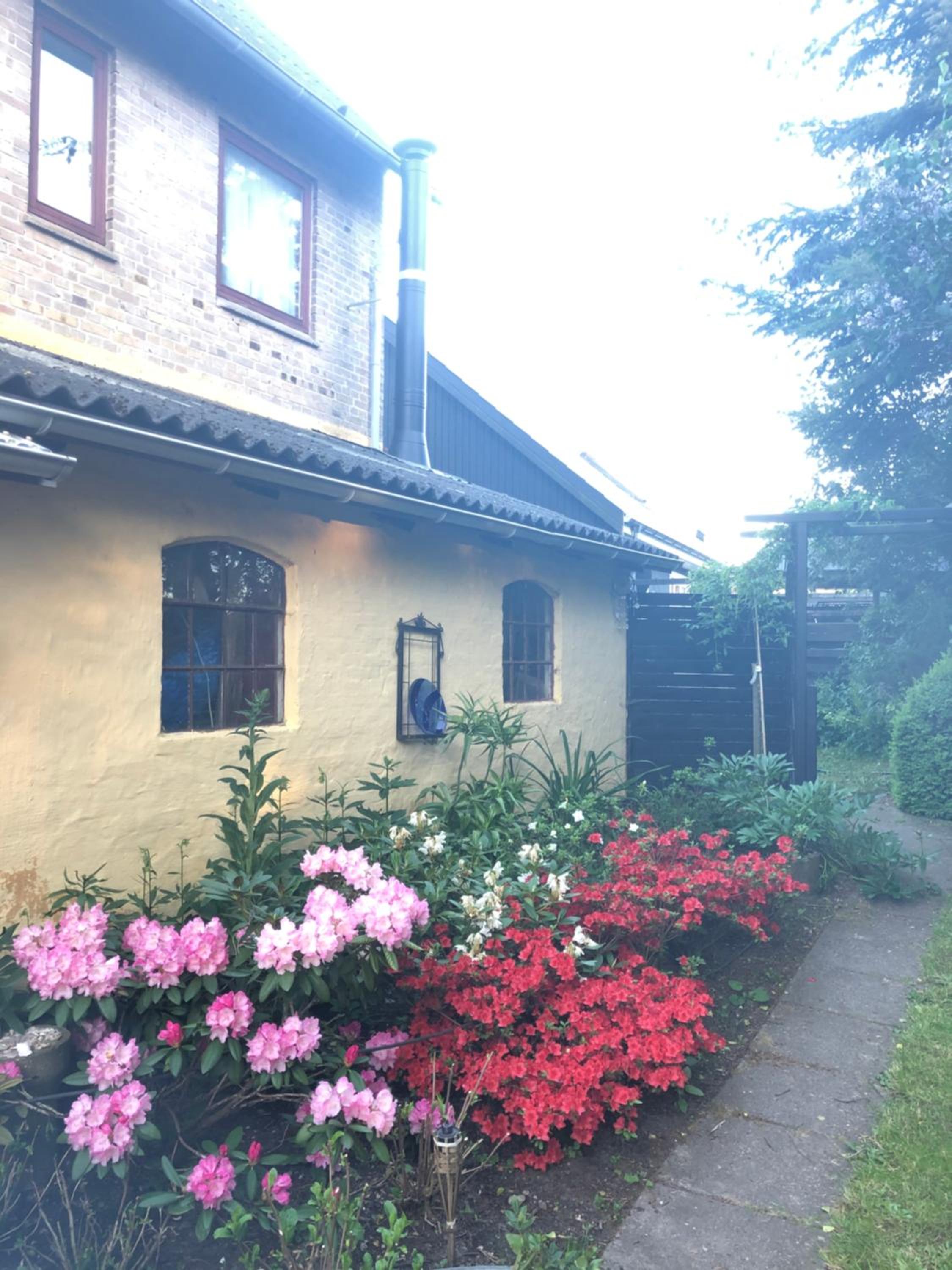 Photo 29