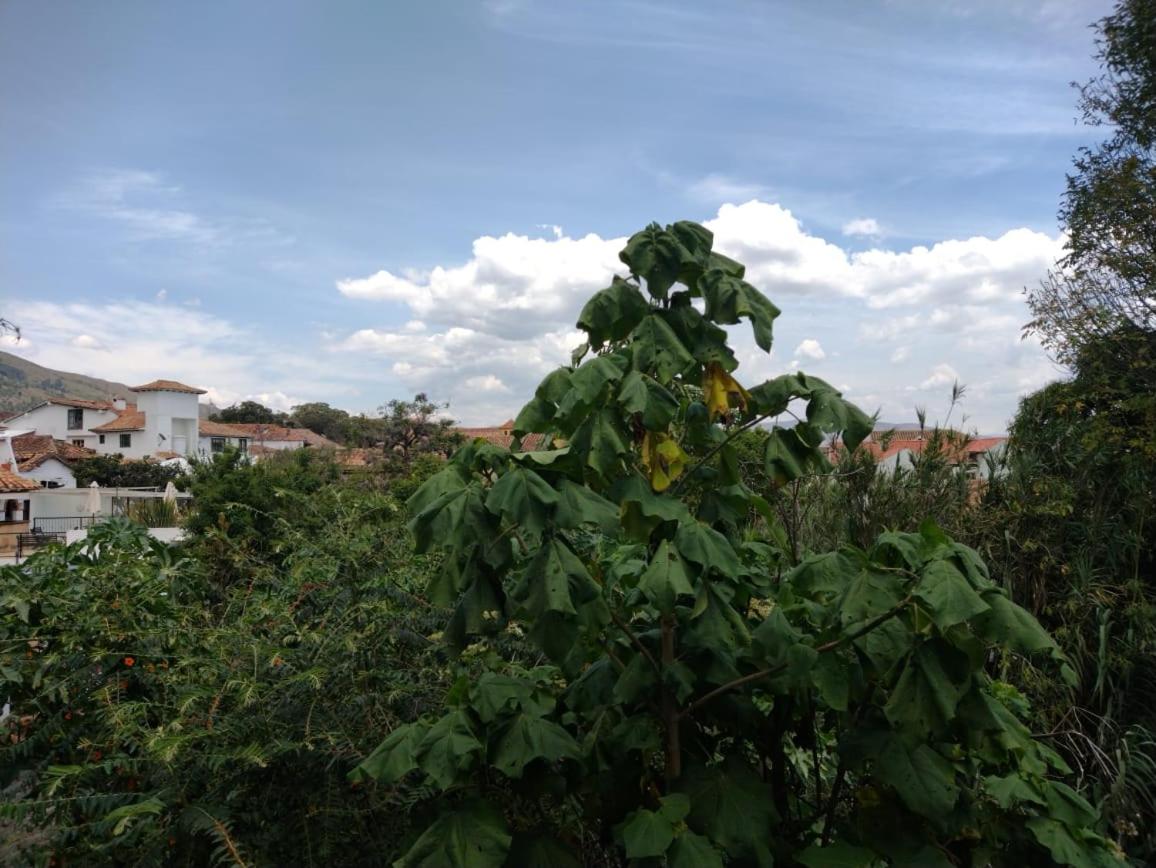 Apartamento Balcones de La Villa 2