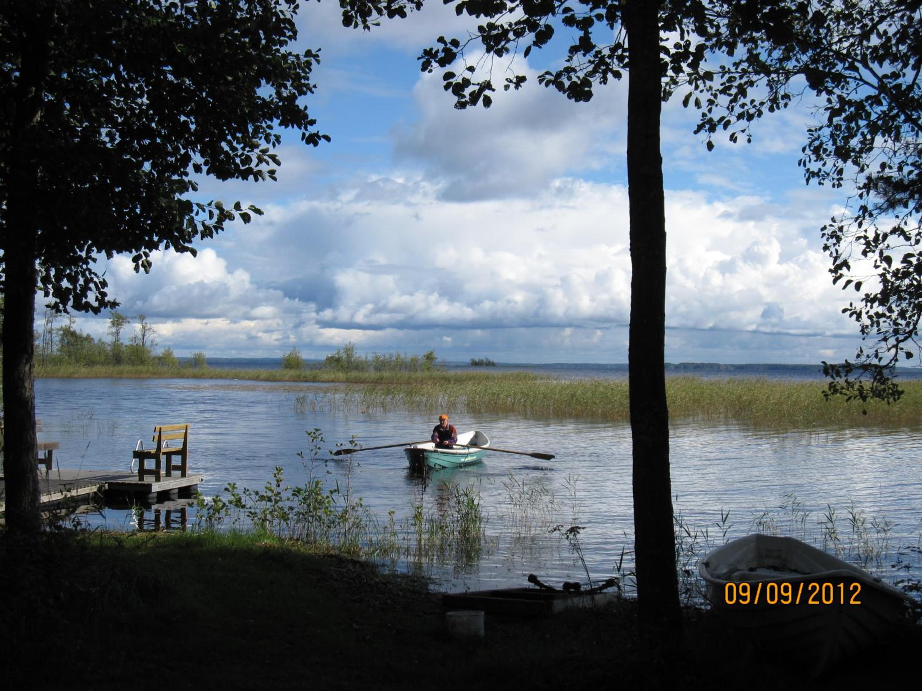 Karvisen Kissanpäivät Joensuun lähellä view 3