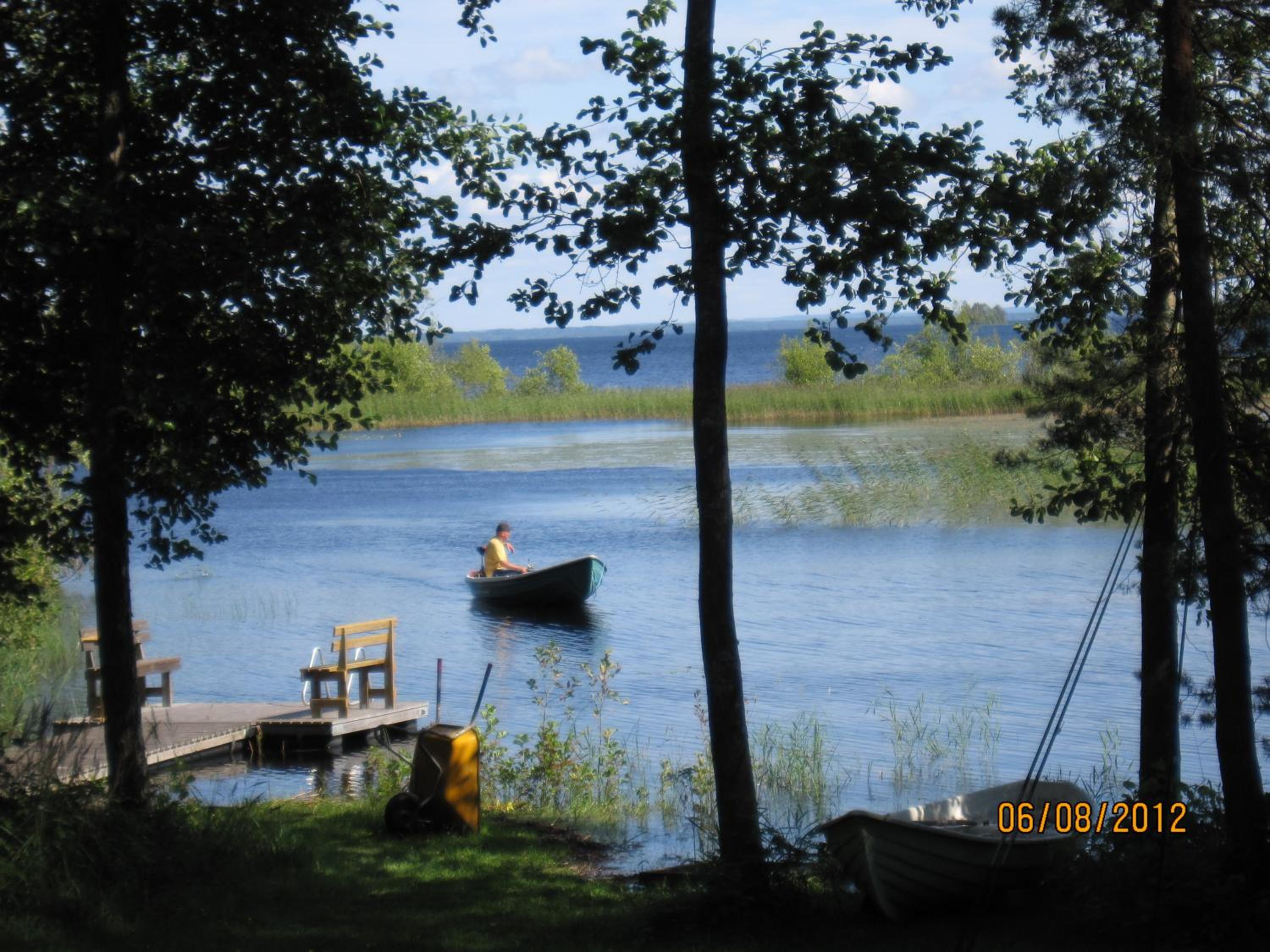 Karvisen Kissanpäivät Joensuun lähellä view 5