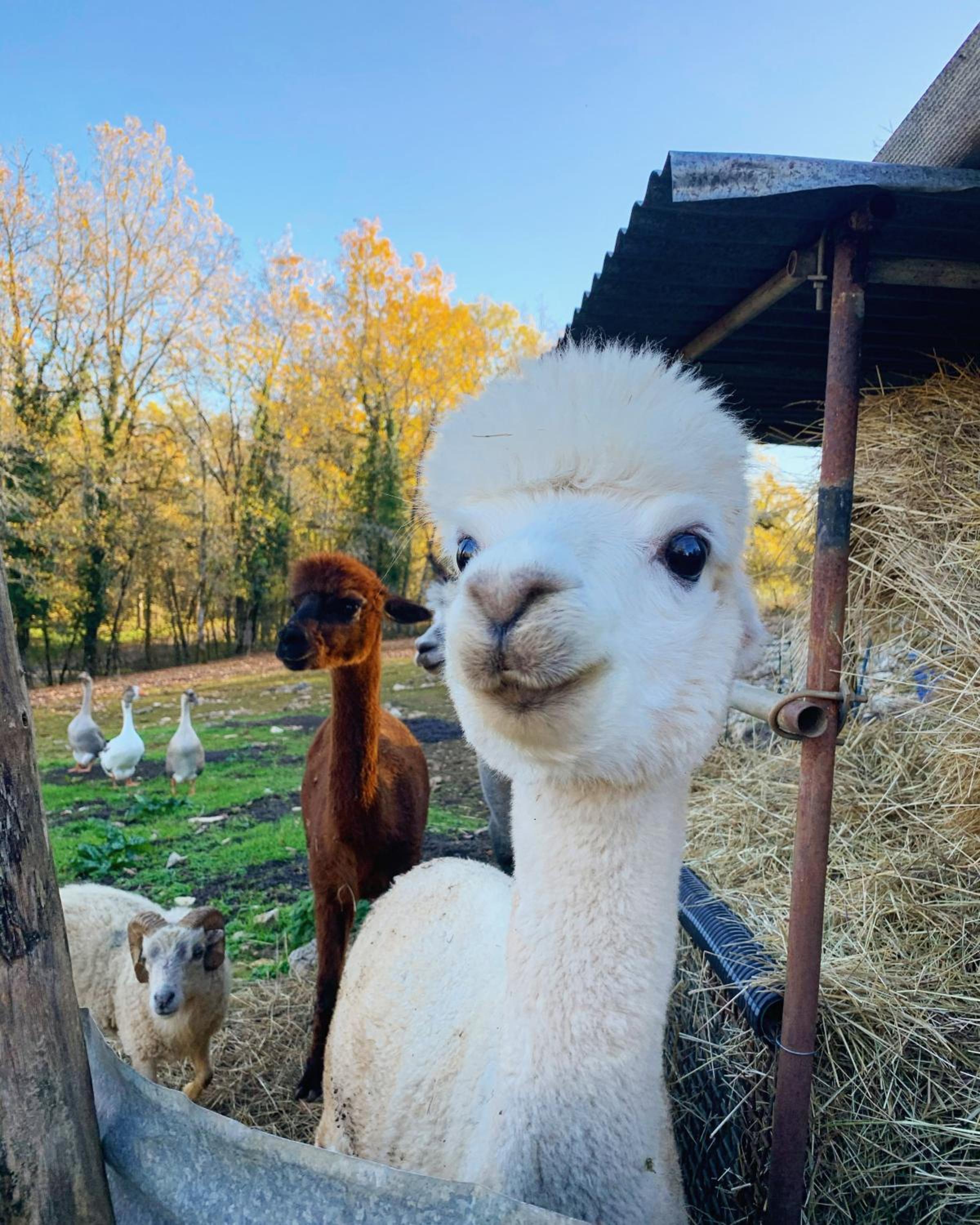 La Ferme Des Vergnes