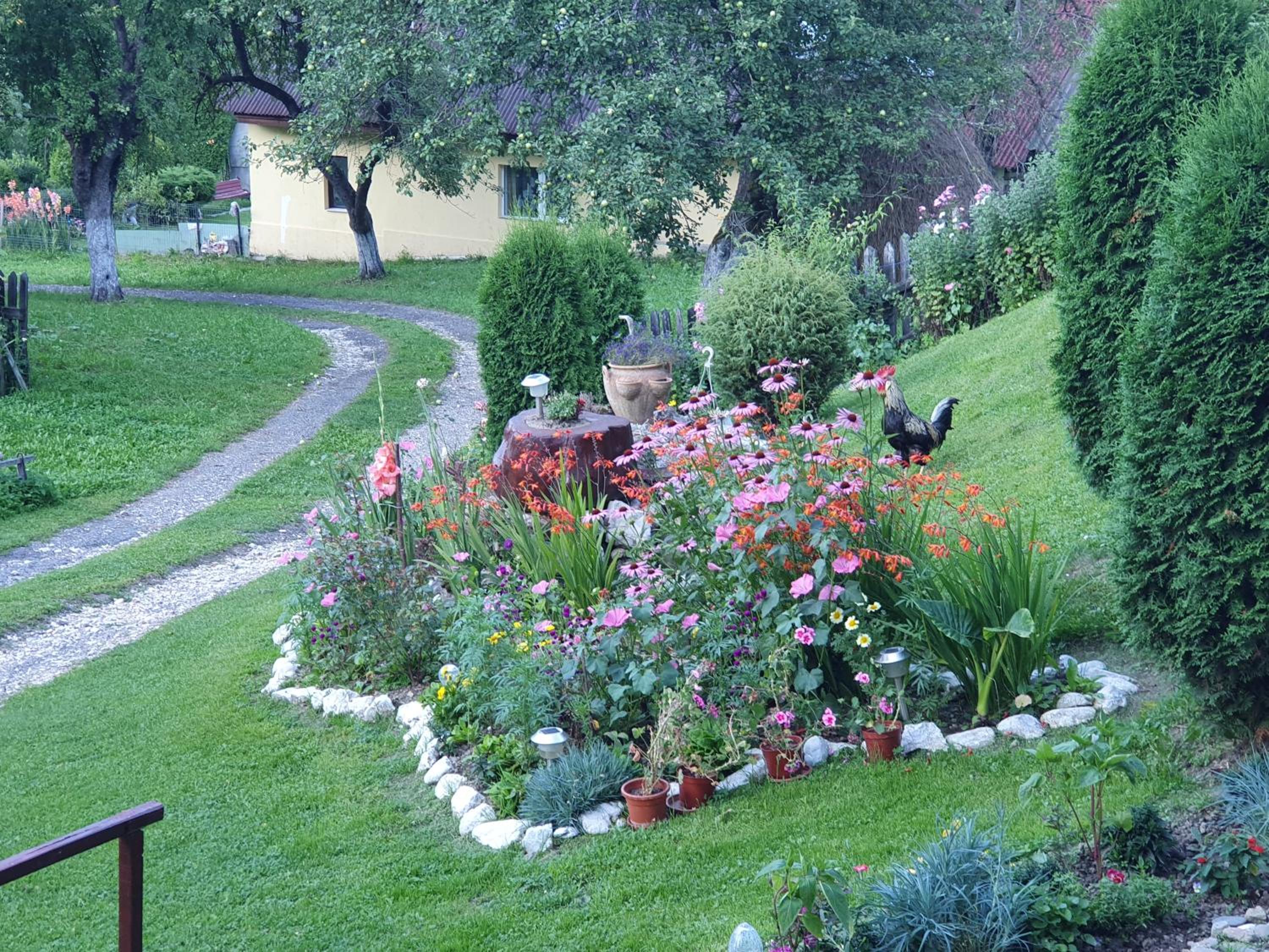 Photo 11