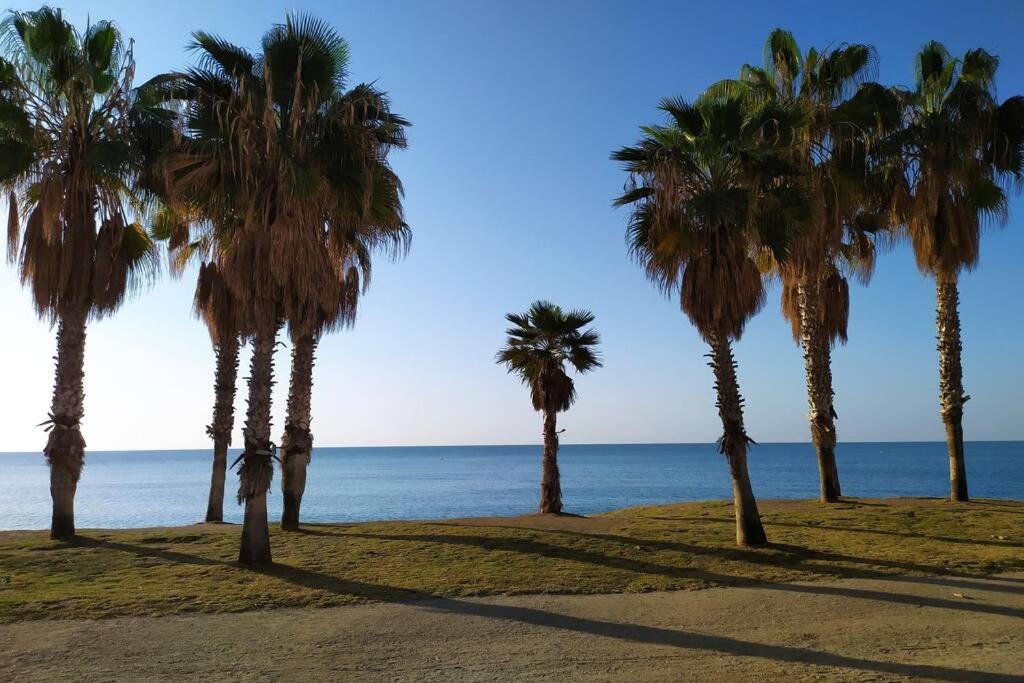 Suite Málaga Center