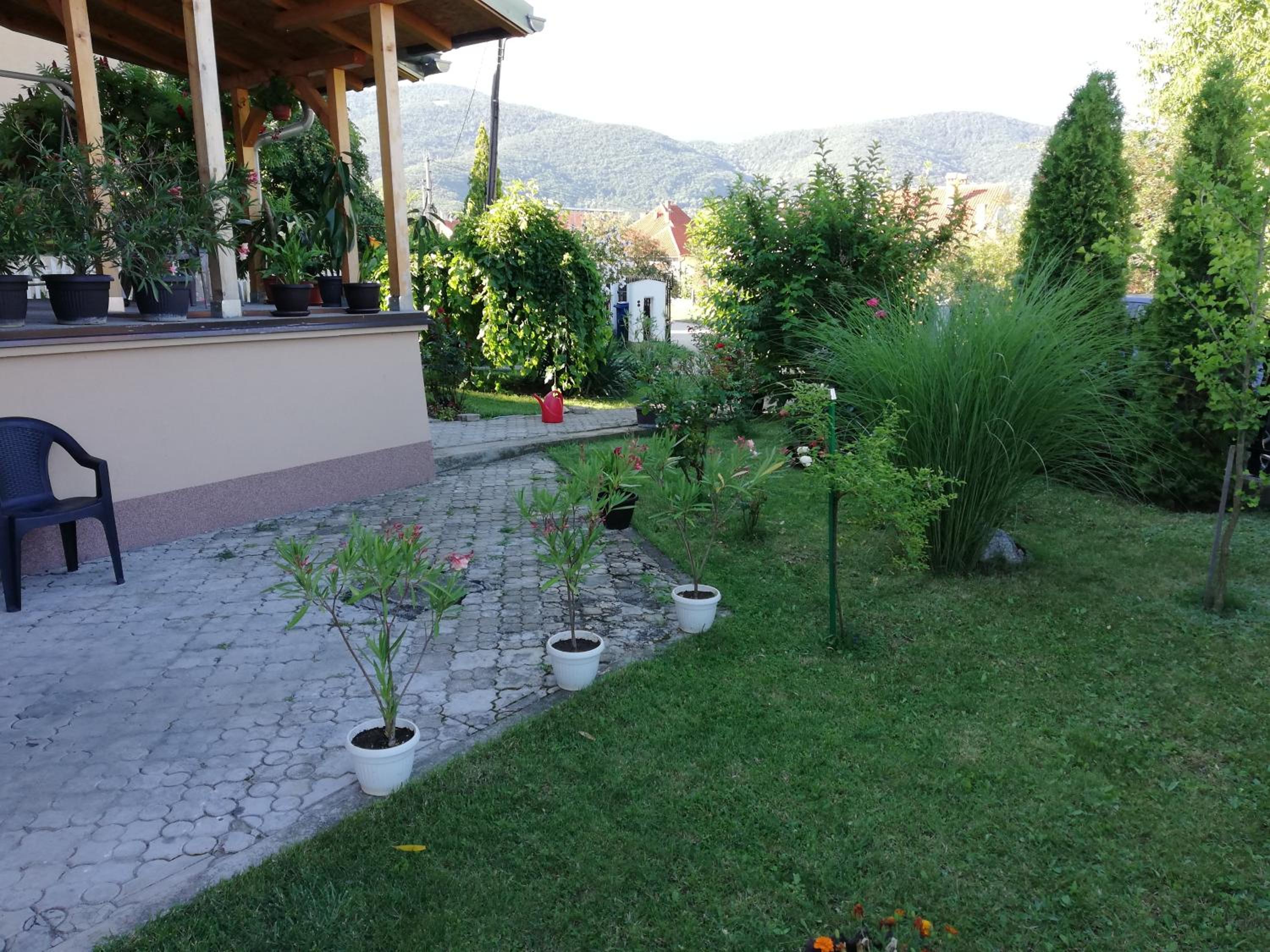 Photo 16